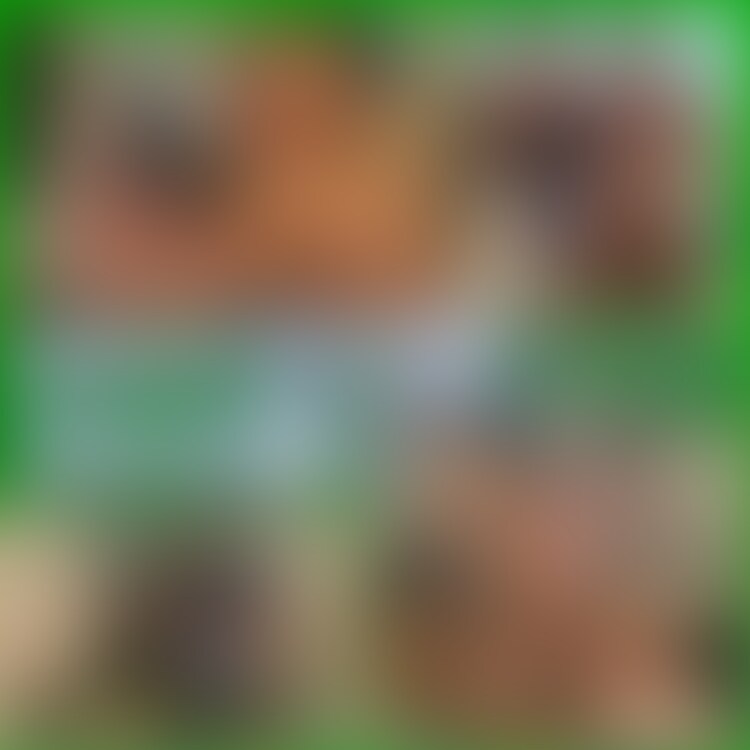 NM 88 ガチムチコラボ祭第二弾は sample 1