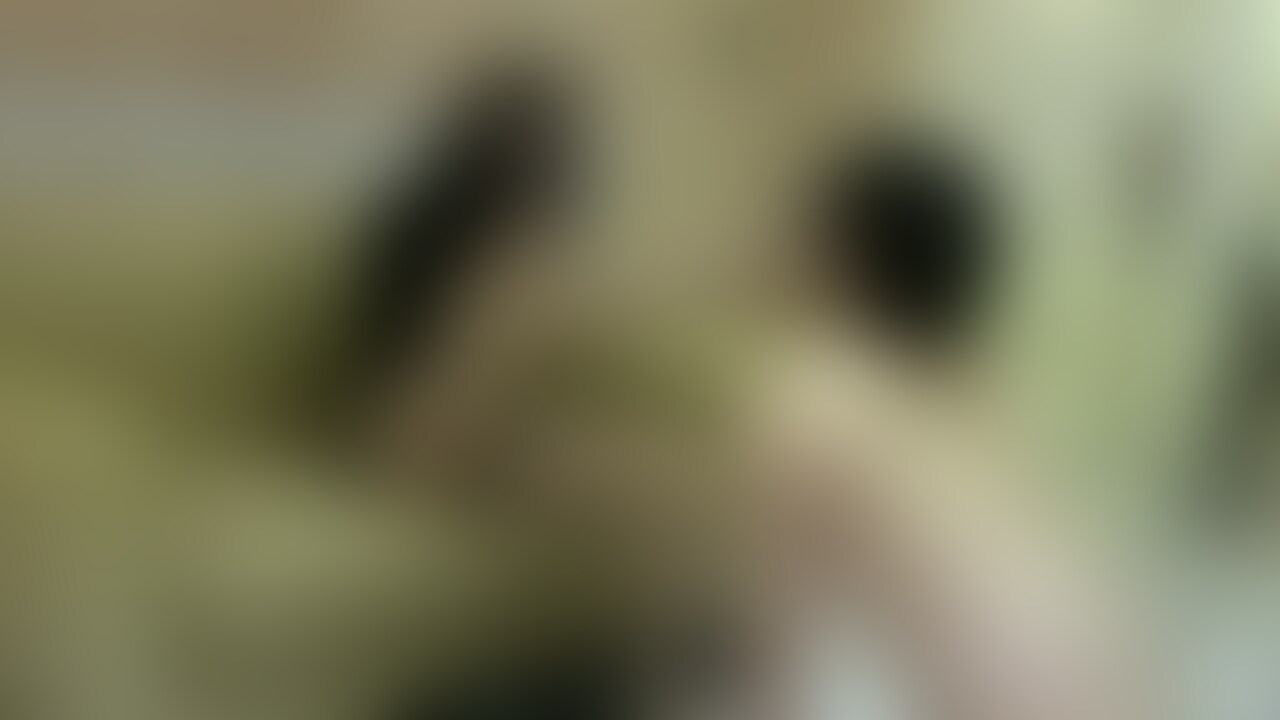 今回も激レアモデル様の登場です
あのレジェンドじゅり様の後継者にふさわしいレジェンド級芸能モデルりおん様にいじめられました(本編32分)
ルックスは抜群で、かなりドSな性格です
関西弁での罵倒はめちゃくちゃ興奮します
普段はさまざまな雑誌、イベントで活躍されており、この日も多忙の中来ていただくことができました
一日中履いて蒸れたパンストとブーツを○○○嗅がされ、顔に押し付けられました
そして、タバコを吸いながら男に足の匂いを嗅がせるドSぶり
その後、顔に座られたり、あそこを踏みつけられたりとめちゃくちゃいじめられました
足を舐めさせられ、最後は○○○足でイかされました
こんなドSで美人な子にはめったに出会うことができないと思います
スレンダーでスタイル抜群の芸能モデル様にいじめられたい方は必見です。
※無断転載禁止
※女性○○○以上確認済み
※モザイク処理を施しています (2/2)