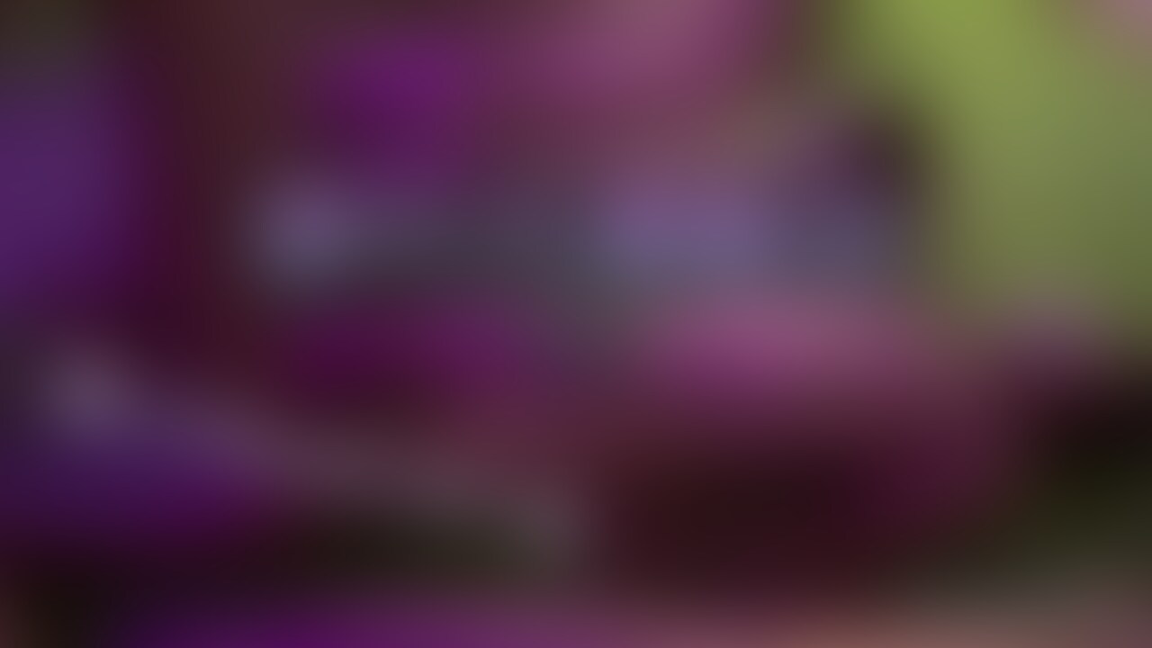 運動会動画第四弾 sample 1