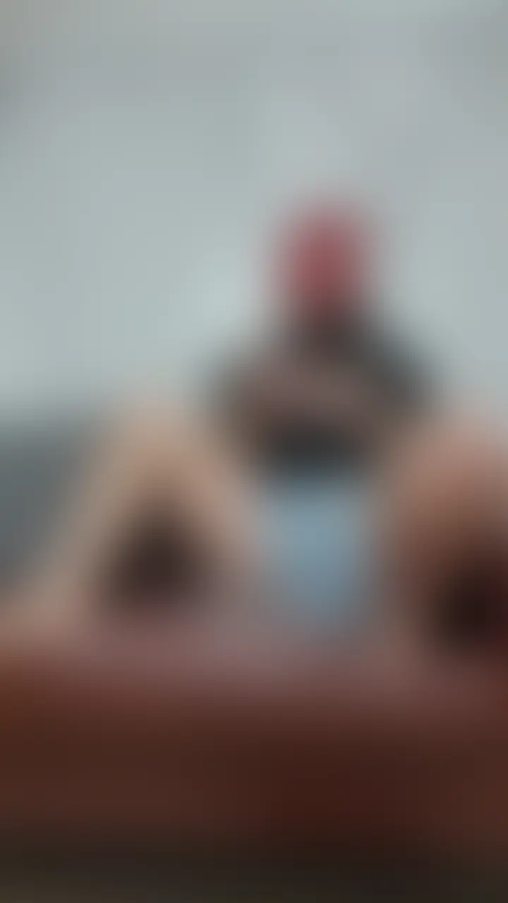 オモチャをガラスの入れ物に張り付けて
いっぱい悪い事しちゃいました。
叱ってください。 (2/2)