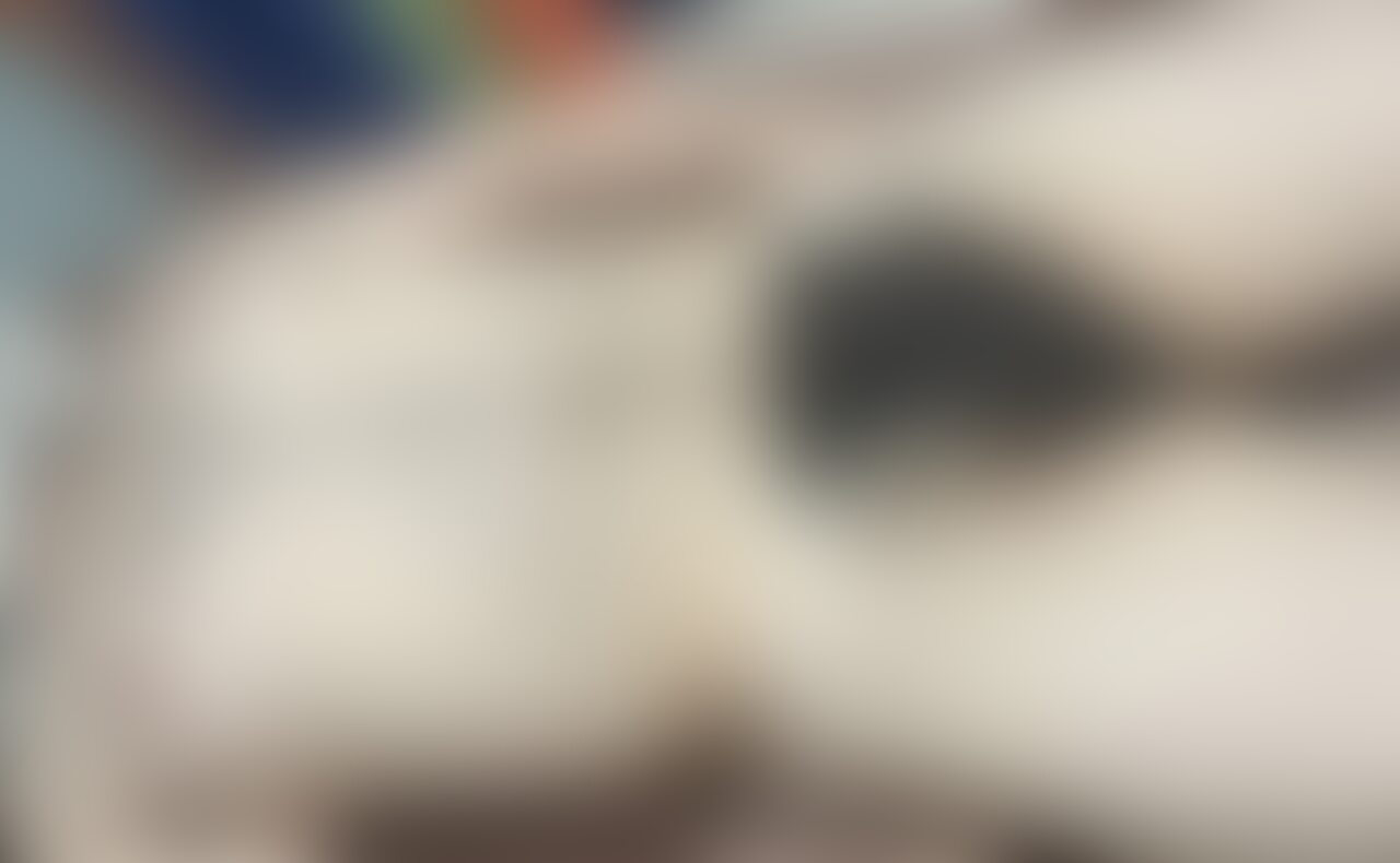無題の投稿 sample 2