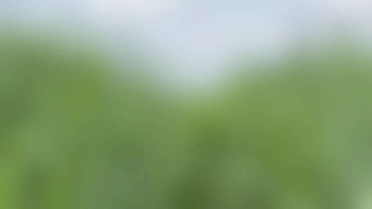 某野外発展場 sample 1