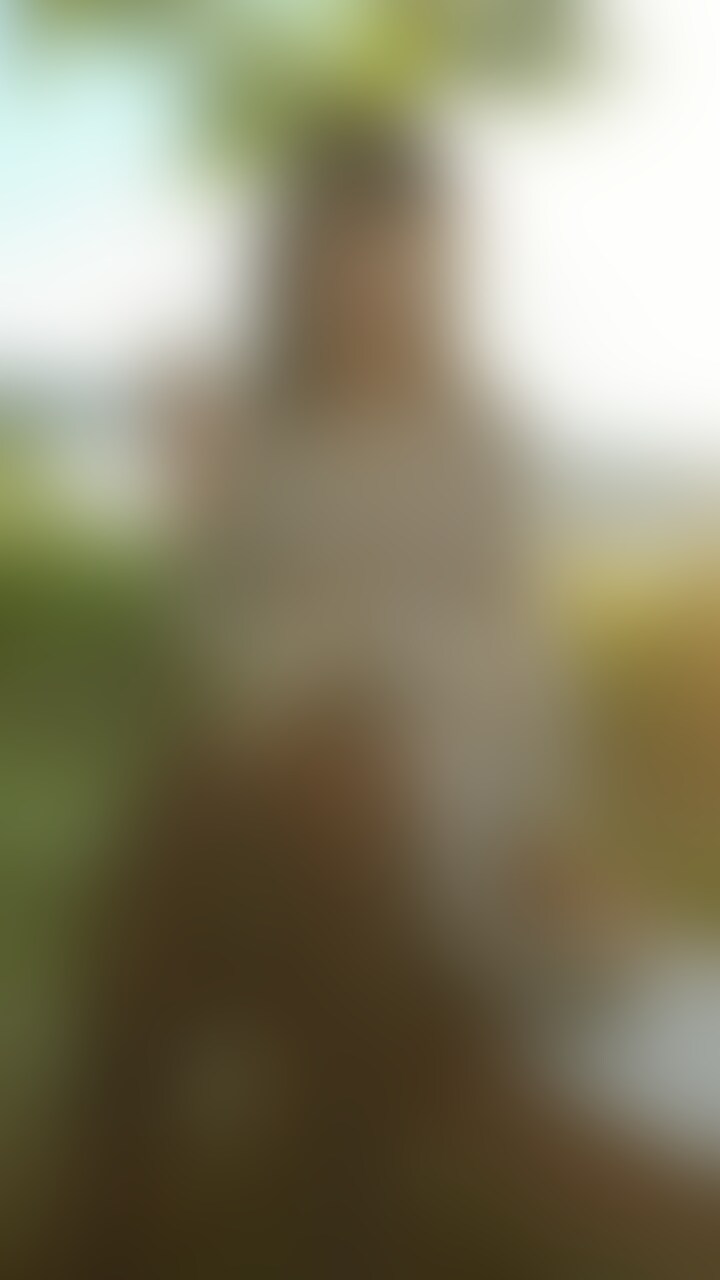 ❤️2024/05/20　単品販売 sample 1