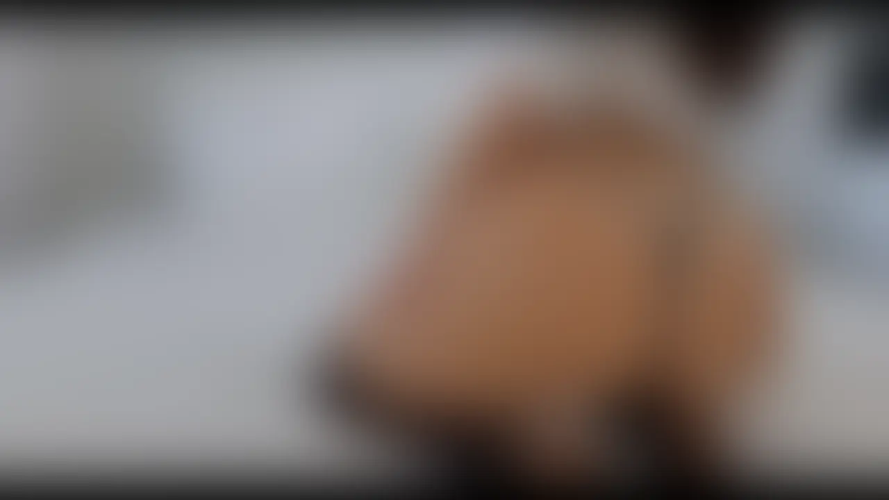 ディルドオナニー大好き♡♡ (2/2)