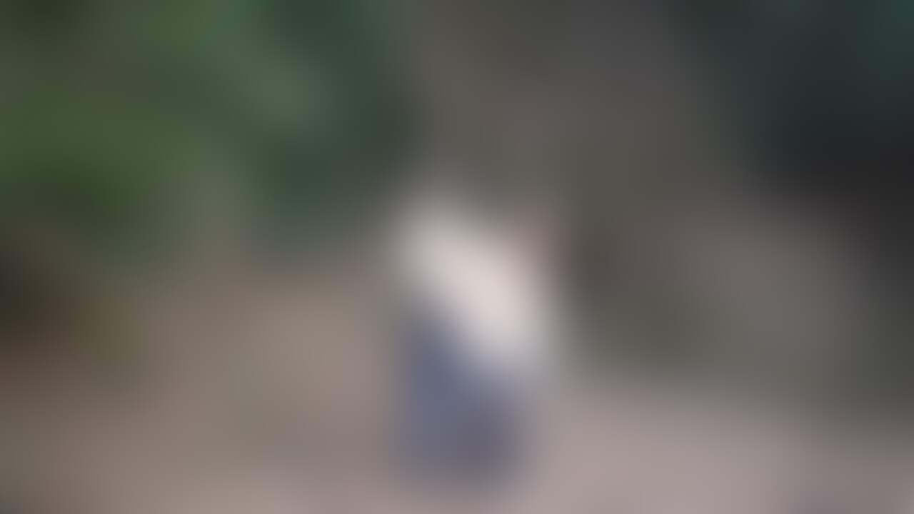 山道をドライブ中いい感じの場所を見つけてセックス♪
すぐ真横が道で誰も来ないかな~と思ったら何台も結構来てビックリ😖
ハメハメした後知らないオジさんにニヤニヤ話しかけられたから多分見られてたのかな🥺
オジさんのオカズになれてたらいいな~💖 (2/2)