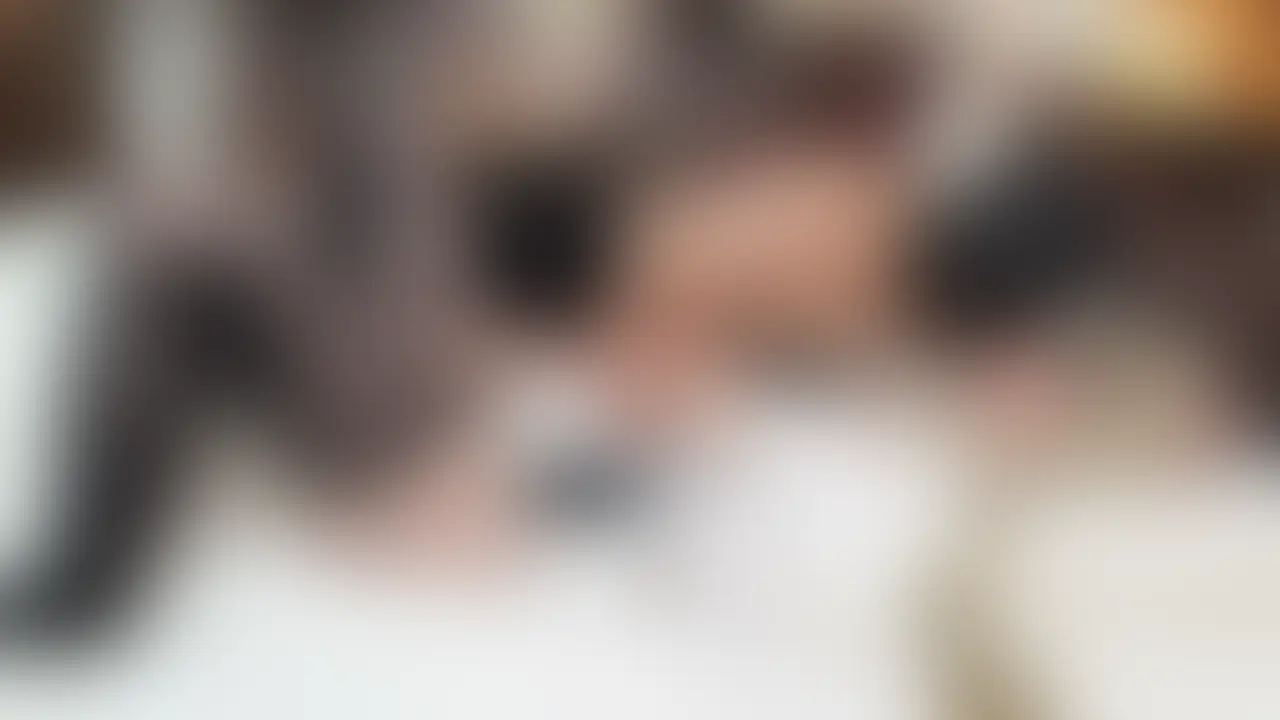 しおんちゃん ブル○カ ナ○サ おじさんとイチャラブ玩具責め
しおんちゃんのナ○サコス、2つめの投稿です
今回はキスシーンが多めの内容となっています
【収録内容】
ベロチュー
耳舐め
吸引ローター1
吸引ローター2
【動画情報】
39分(別アングル含む) (2/2)