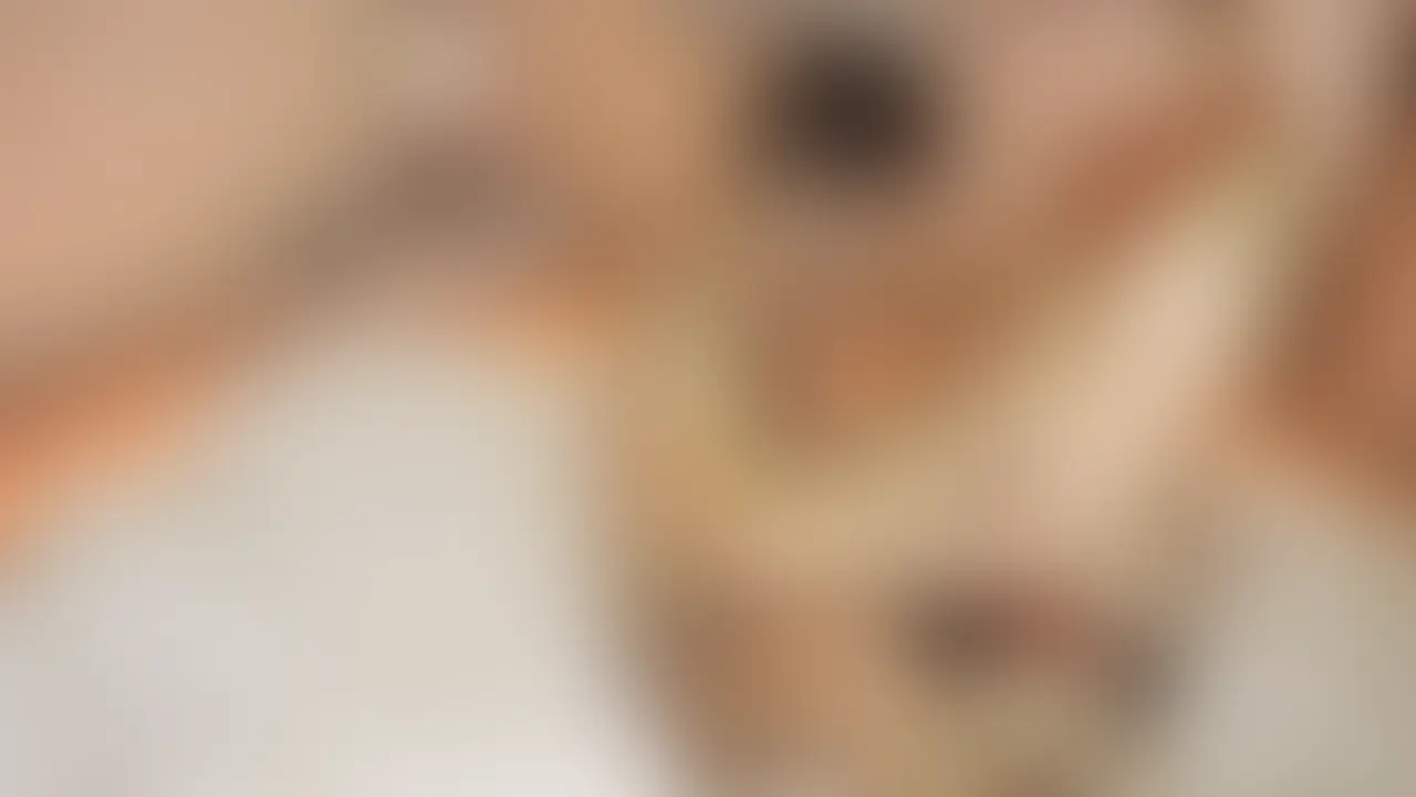 フィジーク大会出場者とレスリングセックス sample 1
