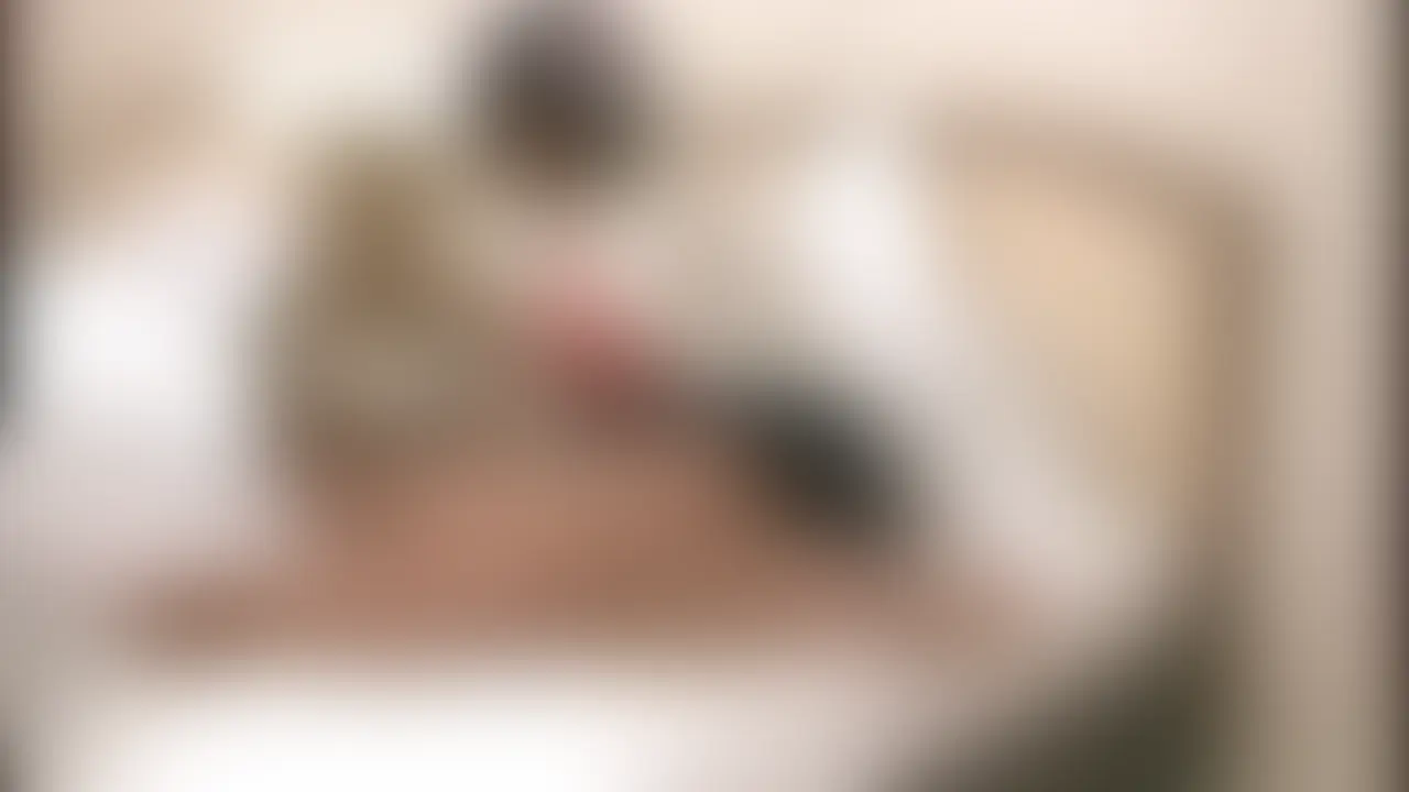 ピンキーwebDL041/さとうみつさんの動画
039、040と続いたシリーズの動画もこれで最後となります。
私服フェラからのH、着替えてのフェラ、挿入、口内射精、ごっくん、お掃除フェラ
あと、少し写真撮影と、放尿、シャワーで最後となります。
前2作と併せて、1キャラ4着189分は、今まで一番長くなってしまいましたが、それ位お気に入りの作品となっています。
もう同じキャラの違う衣装で撮影したくなっています。
64分です。 (2/2)