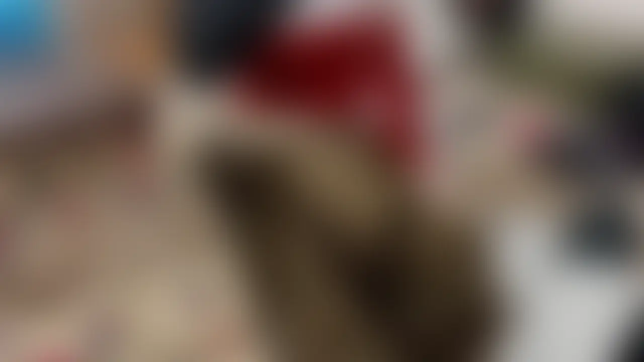 頼んでもないのにサンタコスをもってきました
着慣れてないせいか 不〇者みたいですが・・・・
安定のドエロです。お互い飛びまくってます
旦那のア〇ルを舐めたことがないらしいので
自分のア〇ル舐めさせてやりました。
子〇のプレゼントは 旦〇に置かせてM子は子〇りに自分の家に来ました
クリスマスの日に不〇宅でキ〇て そのうえ中〇しされて一歩間違えば
人生無茶苦茶になりますがその狭間が興奮するんでしょうね (2/2)