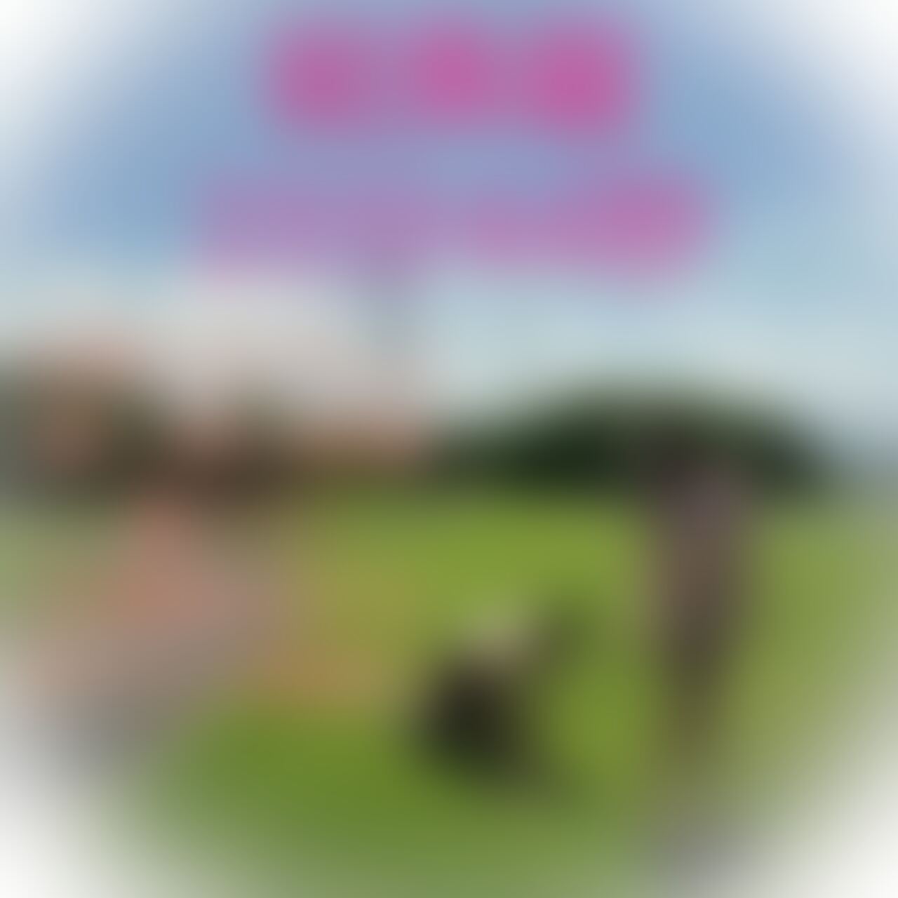 総集編 25分44秒
最下層◯隷との公園お散歩からホテルで○○○、また愛し合ってるご主人様二人の結合部舐めなど (2/2)