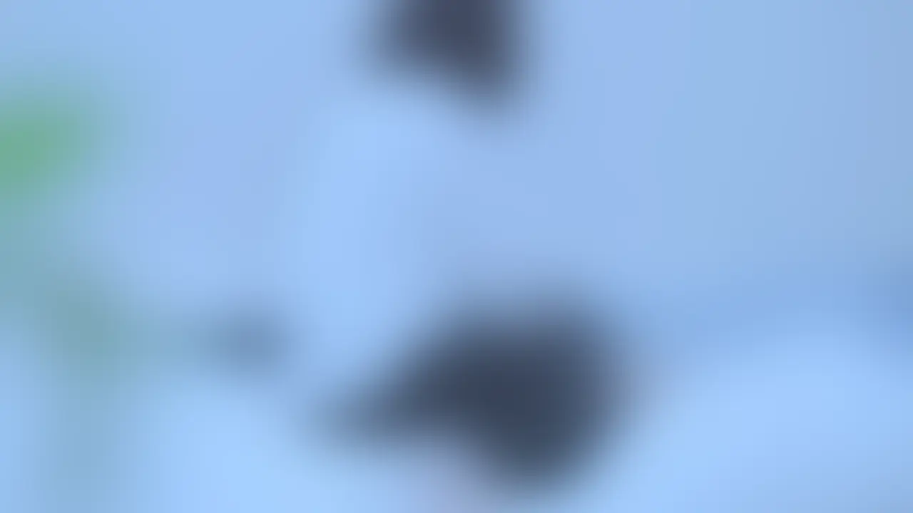 ライトプラン以上向けの動画になります。 (2/2)