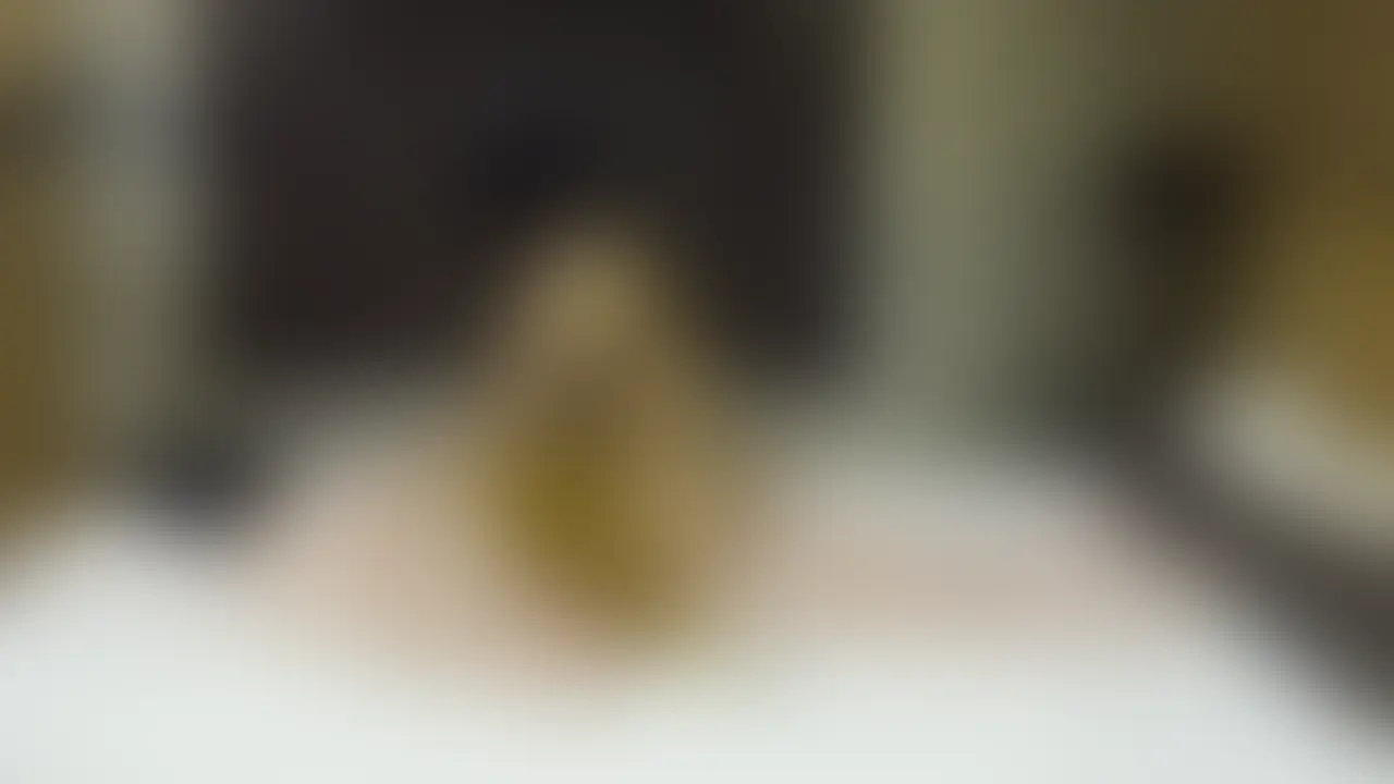 22歳／Fカップ／圧倒的プリケツ
もな｜ハロウィンランジェリー

横視点（全3視点中 1本目）
※別視点も順次配信予定。
――――――――――
＜顔出しNG＞
圧倒的なマッサージ技術のじゅりちゃん。
ハロウィン限定のランジェリー姿は、想像以上に破壊力抜群。
本格的な施術から始まりますが
徐々に距離感も近くなり、後半は一気に濃厚な展開へ。
最後は柔らかいお尻で挟み込む、じゅりちゃんの尻コキまで…
マッサージ動画のはずが、完全にそれどころじゃなくなってます。

※予告なく動画を削除する場合がございます。
――――――――――
【視聴方法】
●アルティメット加入で視聴可能
●単品販売（購入後は販売終了後も視聴可能）
―――――――――― (2/2)