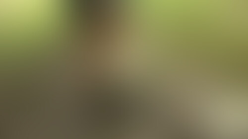 ■衣装
ベージュパンスト amazon.co.jp/***
ショートパンツ
5分 乾燥したところを歩く。可能であれば公園の遊具や砂や道路など
所々で左右の足の裏を撮影してください。
5分 土など湿った場所を歩く。こちらも所々で左右の足の裏を撮影してください。
5分 場所は指定しませんが過去作の様な田んぼみたいなところが希望です。
パンスト履いた脚が泥んこで歩くことによって泥だらけになっていく様子が見たいです。
最後に左右の足の裏をカメラに見せて終了。
寒い場合はジャンパーなどを着てもらっても大丈夫です。
20分27秒 (2/2)