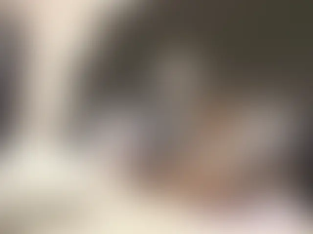 "本編はマスク着用で一部のみ顔出し、地雷系美女二人組のフェラ、乳首舐め手コキです。
地雷系黒髪美女様と金髪美女様のW手コキ、一方はフェラ、もう一人は手コキと天国のような時間！！！" (2/2)
