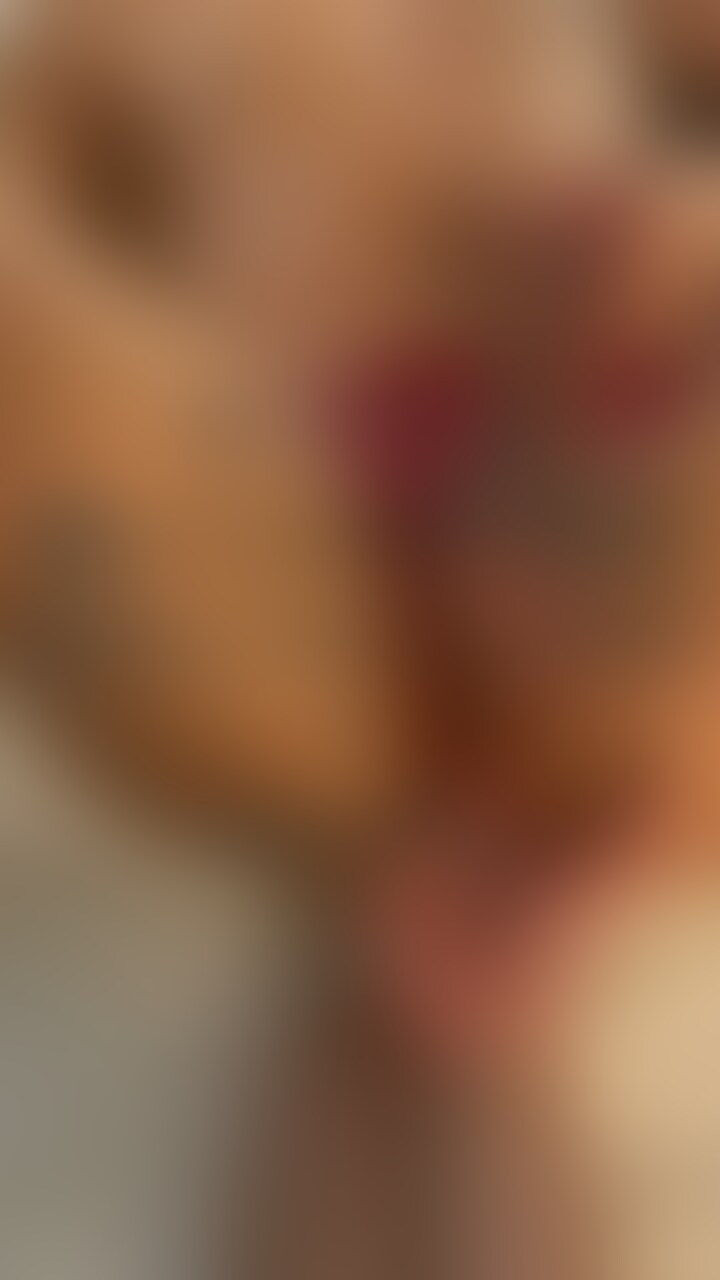 初めての競パン動画です！！ sample 1