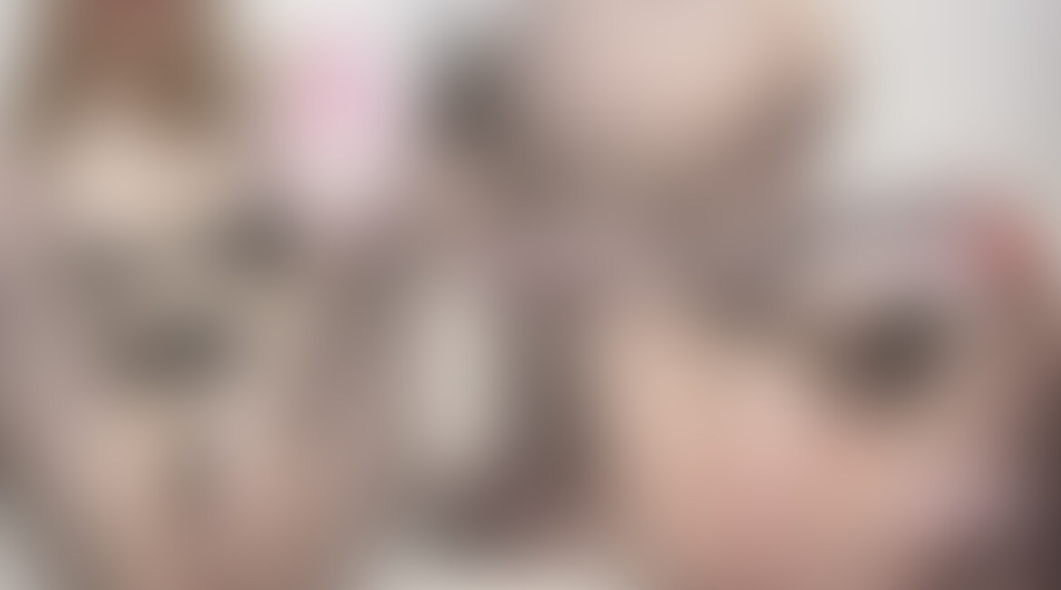 【クンニローターで失禁🔞】
フォロワーさんにいただいたクンニローター使ってみたら気持ちよくて失禁...♡
見えないかもだけど、すっごい気持ち良すぎてお汁だらだら垂れてるの
クンニで気持ちよくされてるの想像していっぱい声でちゃった
興奮しながらむしゃぶりついて欲しい...
お○んこドアップで潮吹きする所やぐちょぐちょしてるの見せつけたから見て♡
パルハブに投稿してたの削除したので、ぼかしうすめverで投稿です🥺(最初の部分だけ濃いです♡) (2/2)
