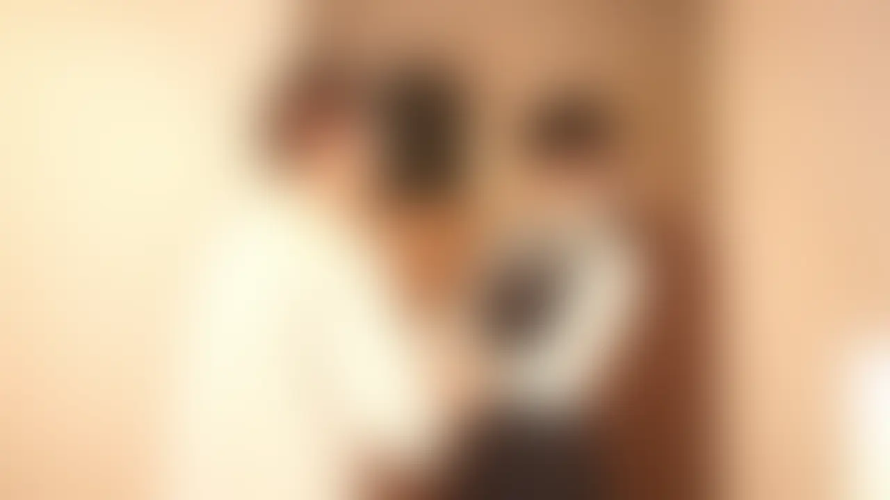 AS-02『大人気ななこさんと3P相互アナル』
Anazon Shemale(AS)2作目は、大人気男の娘女優のななこさんです!
監督がはじめてリアル🍌をアナルに入れた人でもあります。アナルセックス/中出し/翠さんとの3P/逆アナルと今回も盛りだくさんですので、お楽しみください🍑 (2/2)