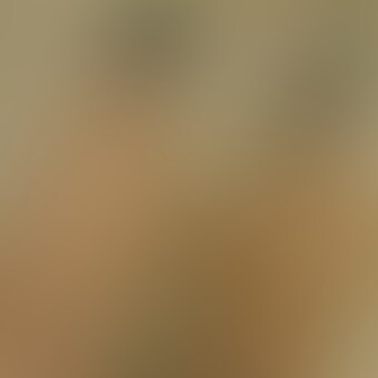 ※サンプル画像です。 sample 1