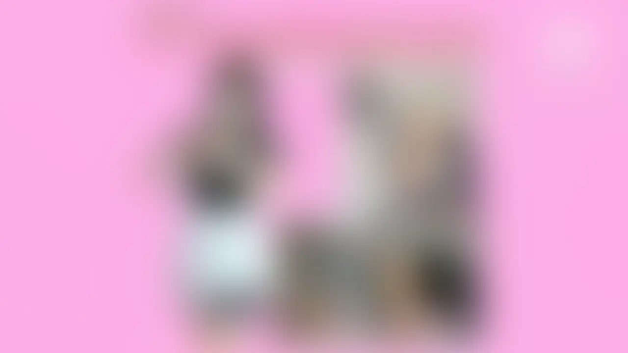 なんと! アイドルがおなら動画に登場！
(idol makes fart video debut)
可愛くて美顔でスタイルが良くてもオナラは臭い！
綺麗なお尻から放たれる下品な爆音放屁！
アイドルオタクなM男におならを嗅がせてアナルを舐めさせ、罵倒する！ (2/2)