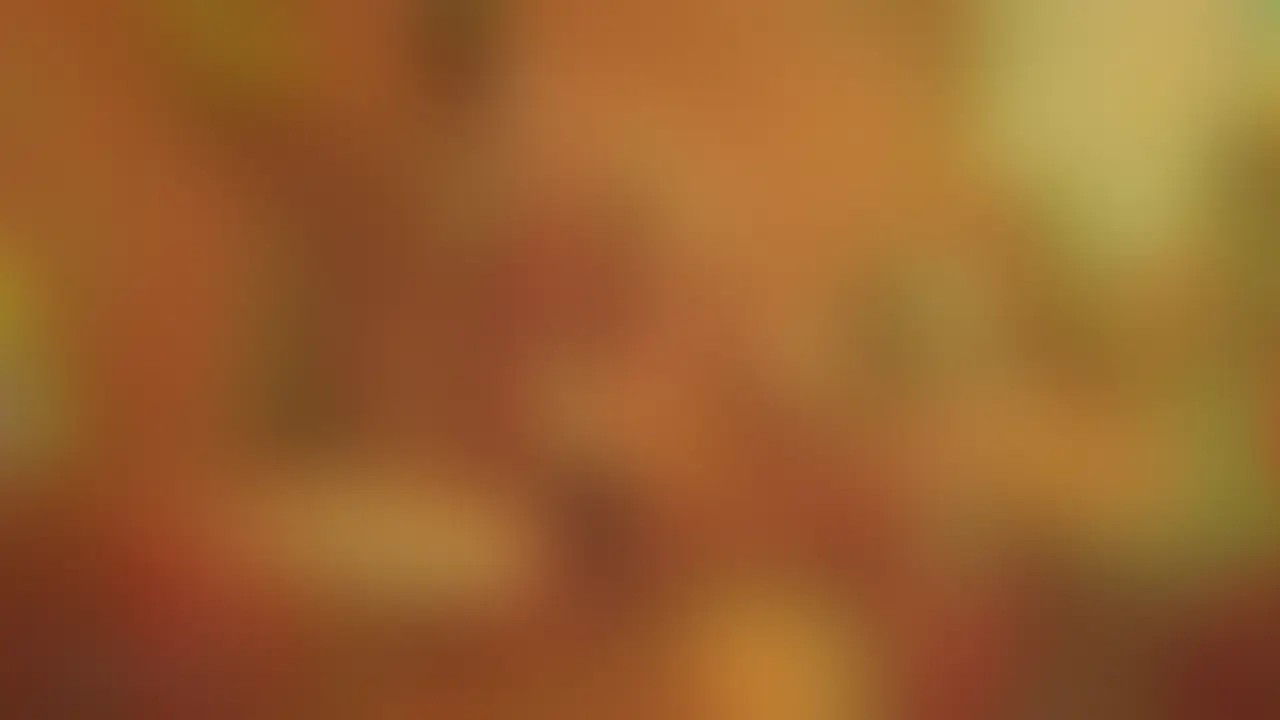 BIRTHDAY生乱交！part2 肉便器編 sample 1
