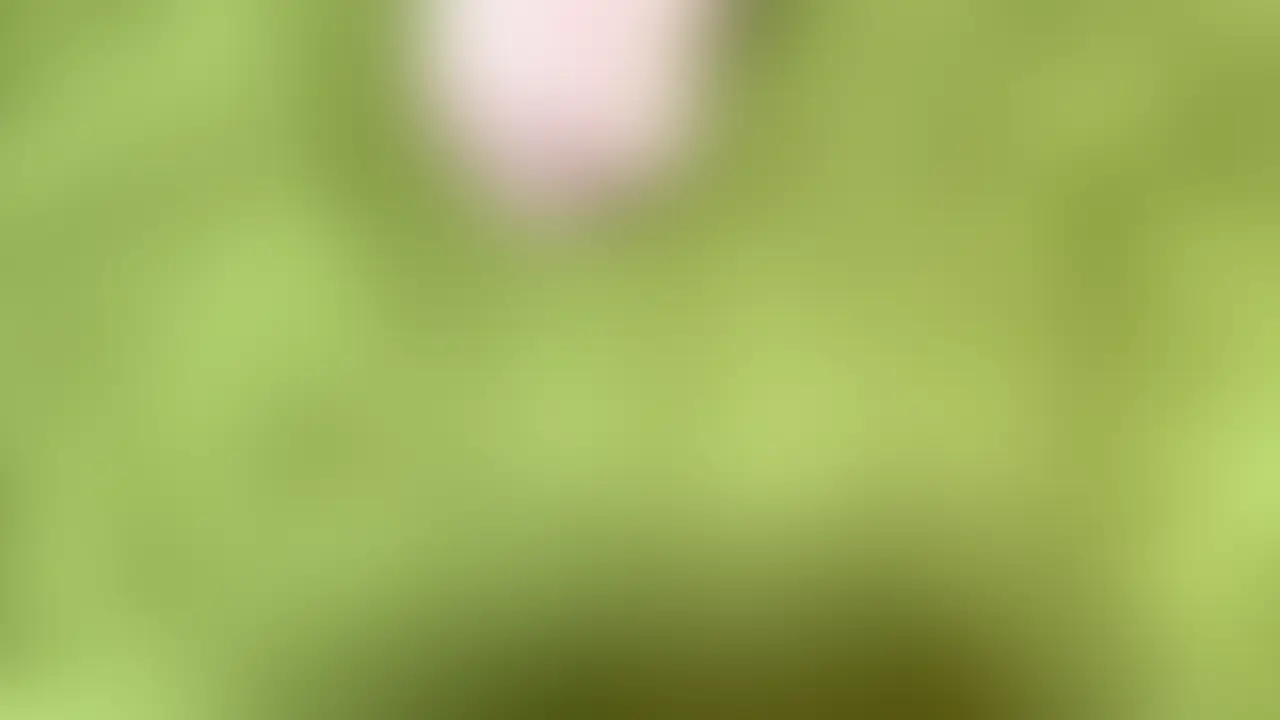 【溜め×黄ばみ】5日以上溜め込んだ熟成ザーメンを7発連続ごっくんする女子大生キャバ嬢はるか(20)
SPERMAGICの前身ともなった、ごっくんサークルが
【真・ごっくんサークル】
となって、生まれ変わってスタートいたします。
「新」ではなく「真」というのは”本物”という証。
SPERMAGICのザー質はそのままにフェラや口内・開口射精によりフォーカスしFINISHはALLごっくん。
長時間、執拗なネバスぺや口内状況が丸見えのライティングもばっちりです。
記念すべき、第一回の女の子は東京の西側にあるキャバクラにお勤めで普段は大学生をしている「さやか」ちゃん。
当初はぶっかけの予定できてくれたのですが、うっかり内容を忘れていてメイクが落とせない予定を撮影後に入れてしまったので急遽内容を変更してごっくん撮影。
ごっくんなんてする予定もなく、するつもりもなかった急展開でのパフォーマンスは想像以上のものでした。
①フェラ抜き口内射精
②開口溜め飲み×3発
③舌上射精×3発
合計7発を見事に完飲。
溜め時に、黄ばみ半固形混じりの白黄混濁ザーメンも凄まじいものがありますが
なによりラストの「超黄ばみザーメン」がヤバい。
質感と色味、臭い。
映像を見返すだけで全てが蘇る程。
自分のミスで、急に5日以上溜め込んだ熟成ザーメンをごっくんをするハメになった、女子大生キャバ嬢の貴重な映像どうぞお楽しみください。
名前:はるかちゃん
年齢:20歳
職業:だいがくせい
身長:153cm
体重:41Kg
スリーサイズ:C70/W52/H78
汁男:6名
撮影タイプ:フェラ/ザーメンアップタイム/被射体貪り/口内射精/開口射精/ごっくん (2/2)
