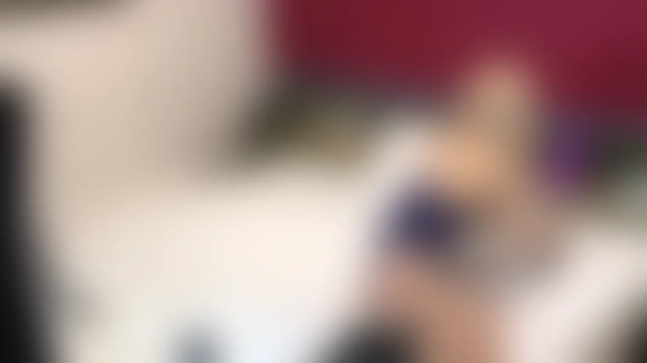 前回アップした動画の別アングルバージョン②です💋
極太ディルドで素股オナニー💕
気持ちよくて腰振りが止まらなかった…🫣💦 (2/2)