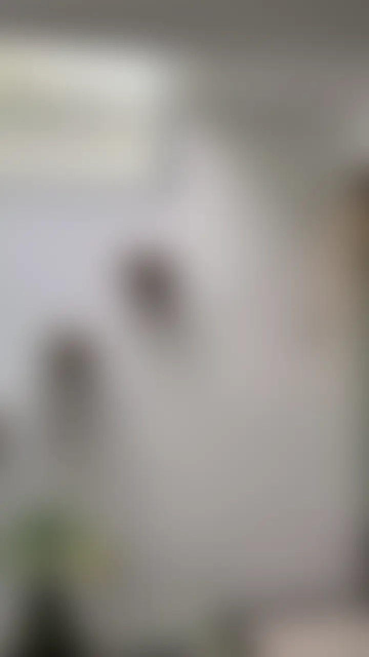 【限定投稿】 sample 1