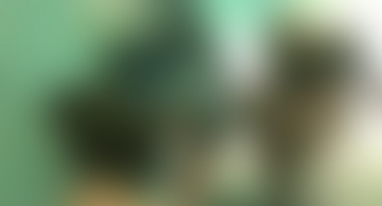 こんにちは！変態動画クリエイター(HDC)です！

もともと、性癖がドMでM活動をしておりました。変態動画クリエイターです。主にツイッターで活動しているので、よろしければご覧ください。

素人系の子が大好きで、主にナンパ・飲み屋等で一緒になれば
積極的に声をかけるように努めております。

「変態動画をクリエイトする！」をモットーにM男向けコンテンツを輩出して参ります！

今回のコンテンツですが　HDC Produce ドＳギャル美女　優里様のＭ男見下し灰皿寸止め○○○ です。

今回は久々登場！ギャル系ドエス顔　美女様の優里様です！

顔がドS!M男を見下す感じも突き刺さります。。。

超セクシー衣装でM男を見下し、フードクラッシュ、指フェラ、イラマでM男を完全にKO！

粗チンを見下して、焦らした後は我慢汁を舐めさせ、いかせた後は当たり前のようにお掃除させるのは本当に興奮します！

ギャル系の痴女様に完全に見下されたい方にお勧め！

39分間の内容となります！よろしくお願い申し上げます！

お楽しみください。

★素人編集になるため、画質等が少し悪い場合御座います。鋭意、改善して参ります。
★編集技術向上のため、モザイク処理の見直しを行い制作に取り組みましたが、至らぬ点はまだあると思いますが、それでも良いという方でご購入の程、よろしくお願い申し上げます。
★モザイク処理を施しております
★転載や無断使用等はお控えください。 (2/2)