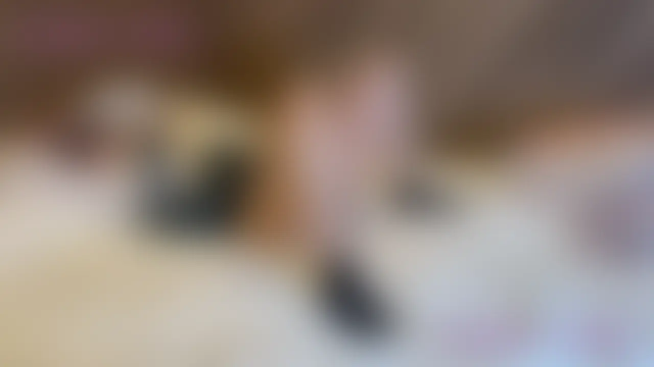 青チェックの制服着て生えっち♡
無許可で中出しされてビックリ、、😨
①
※全部で動画が3つあります (2/2)
