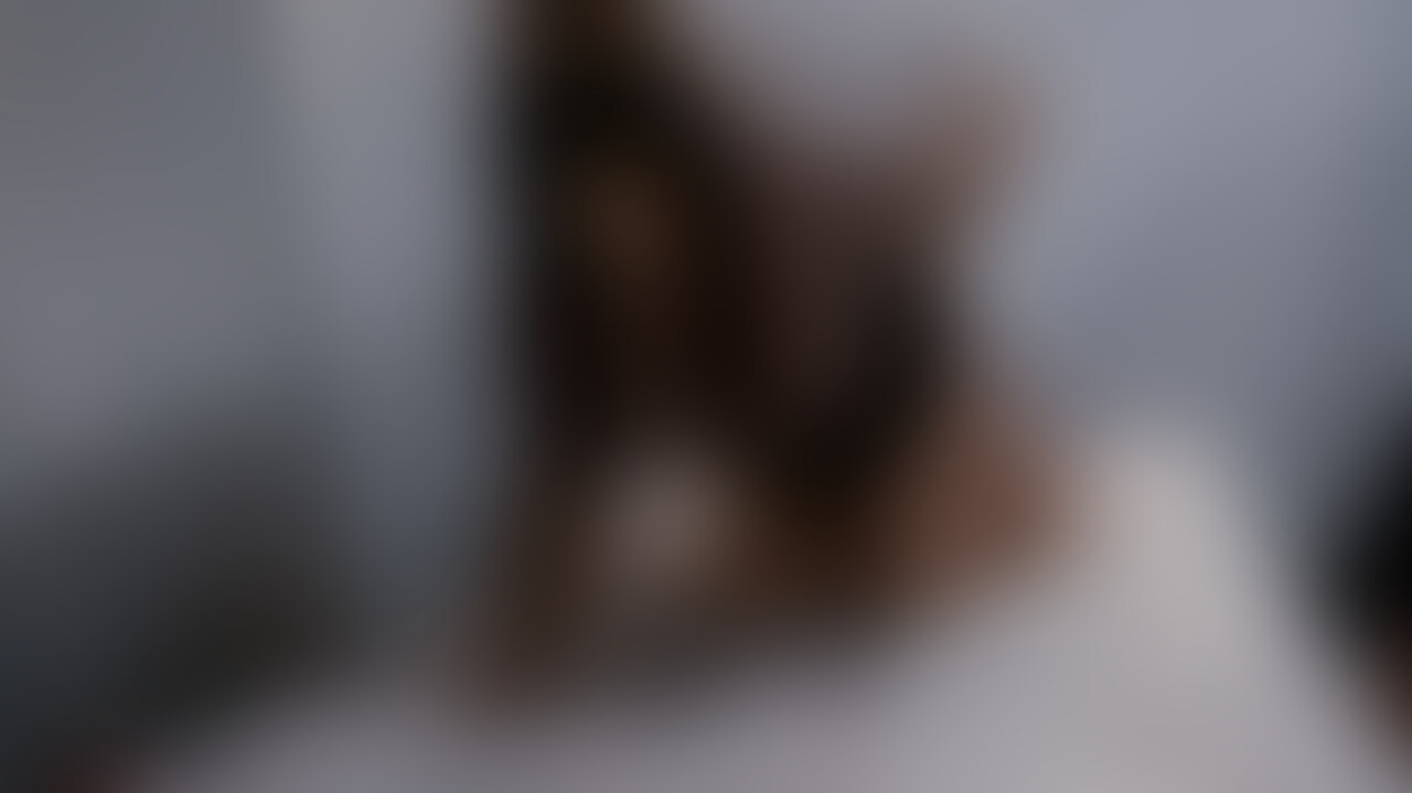 単品販売試験中の投稿です。
この動画が見れちゃうよって方はどのプランに入っていただいているのか教えてもらえませんか?
私たちの最新情報はTwitterで⬇︎
https://twitter.com/esunoacp (2/2)