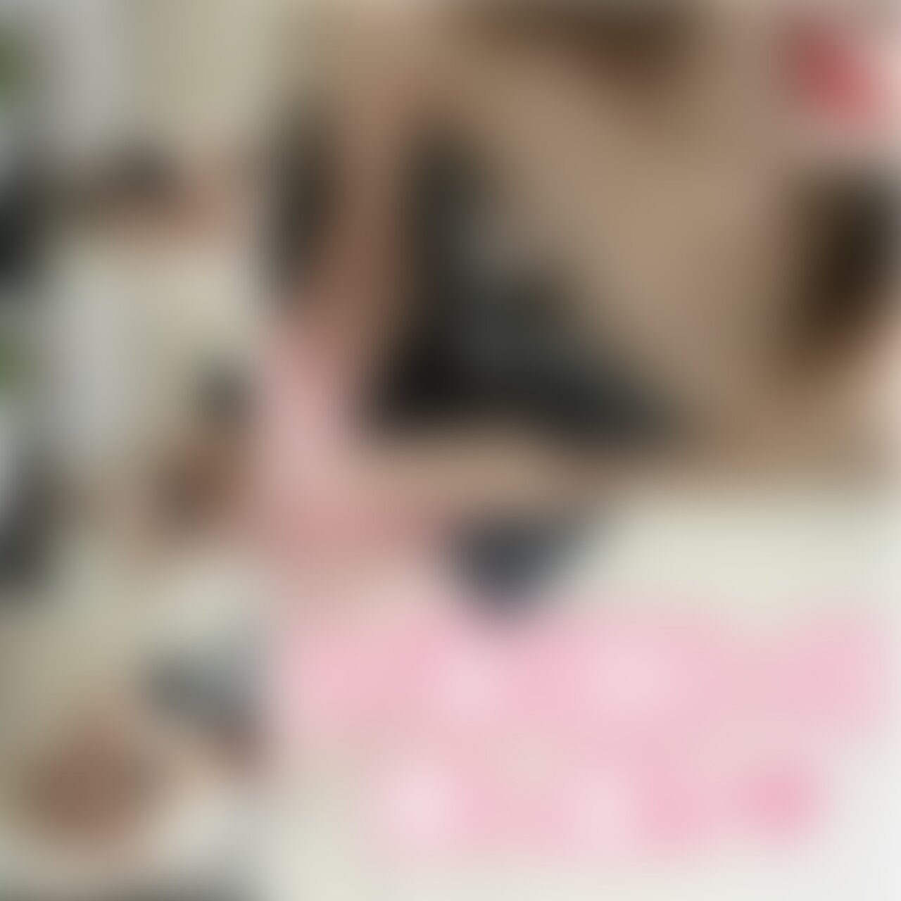 こんばんは🫶
今回は出勤前に彼氏とえっちした動画だよー❤️
彼氏がえっちしたかったみたいで
機嫌とりに肩揉みだして、
いつ間にか胸揉まれててスタート😂
○○○感を出したくて、
上からのアングルで撮ってみました♡
別アングルVer.で出そうか迷いましたが
上から撮ったことあまりなかったので
今回はこちらをフルVer.にしてみました🤭
久々に69もしたよ❤️
舐めあいっこしてたら声出ちゃって
フェラしにくい🤣笑
別アングルVer.はこちら❤️↓↓↓
https://myfans.jp/posts/1f8baca8-3d8a-43d0-83a4-cb690dc7fc45 (2/2)