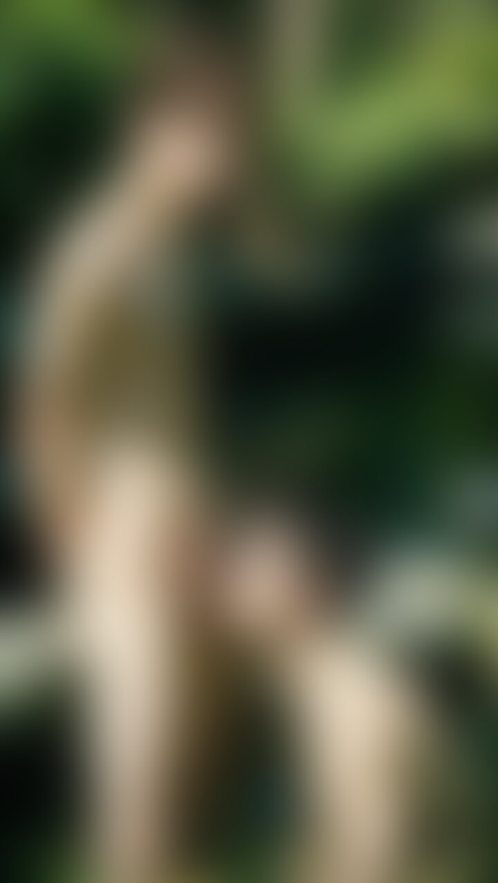 【フェラ👅】 sample 1