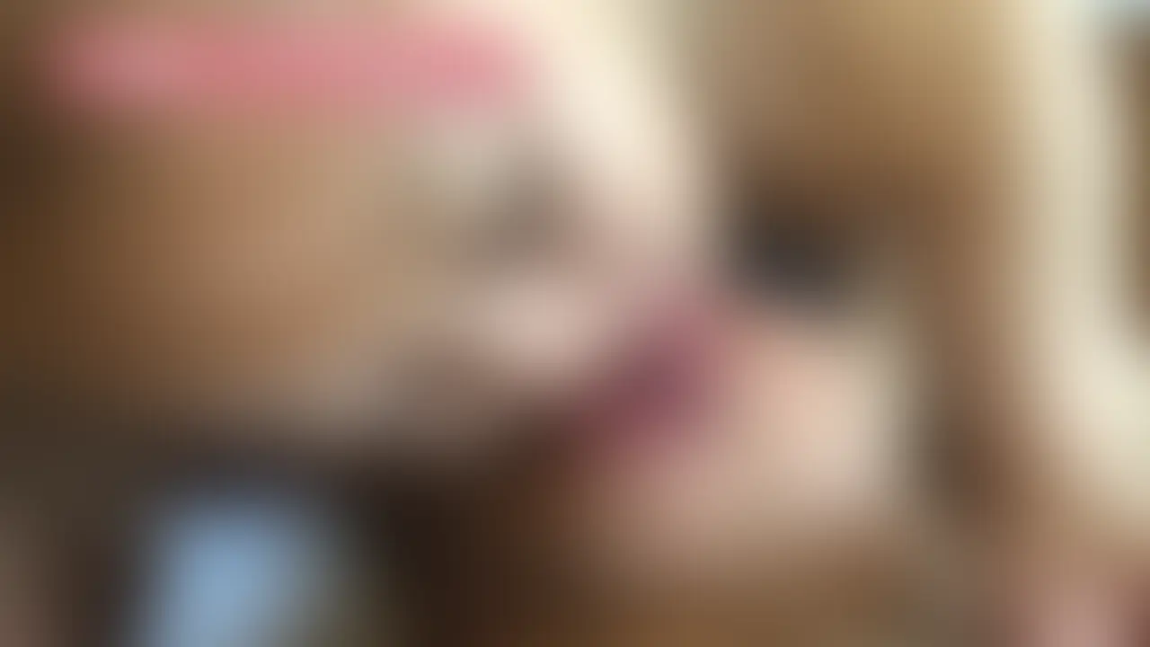 【FREEサンプル動画はこちら】
https://myfans.jp/posts/b8fc9ffd-5cc8-421c-b4f4-0a8730cdd531

美人女子大生の濃厚フェイスリップ＆官能ハンドサービス

＜完全個人撮影＞（1時間02分）

※本編完全顔出し
※局部にはモザイクあり

＜収録時間＞
35分（別アングルカメラ1台＝27分）
35分+27分＝
合計1時間02分

＜内容＞
想像を超える濃厚プレイを披露。
まずは顔をじっくり舐め回し、唾液が糸を引いて滴り落ちるほどの“唾地獄”へ。
さらに敏感な乳首を舌で攻めながら、絶妙な手つきでシゴいてくれる官能の時間。
恥じらいと大胆さが同居する表情、そしてリアルな吐息と舐め音……。
フェチ心を直撃する、必見のフェイス＆ハンド作品です。


[注意事項]
・作品に登場する出演者は公的な身分証で18歳以上であることを確認し、撮影の同意もいただいています。
・動画や写真を許可なく2次使用や第3者への譲渡、転載、転売等をすることを固く禁止します。
・無断販売・無断転用をした場合は法的処置をとらせていただき、損害賠償請求を致します。 (2/2)