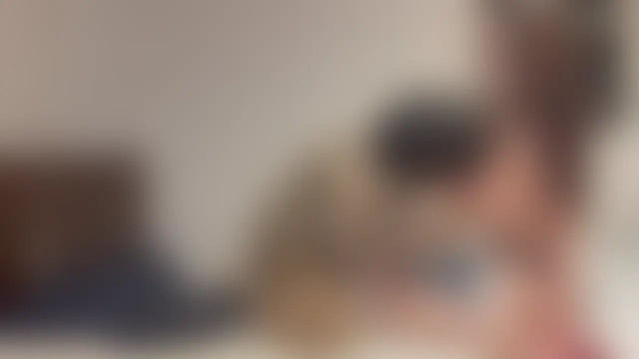 【人妻との日常セックス バックで突くたびに揺れる巨乳がエロすぎる人妻】
エロすぎるデカパイを舐めたお返しにしてくれるのは極上のフェラ。フェラをしている時も敏感な乳首をいじってあげるととても喜びます。
いつも突いている側からは見えませんが動画で確認するとバックで揺れる人妻の巨乳がエロすぎてたまりません。
キツキツま〇この壁に亀頭がコツコツと当たると射精を我慢するのも一苦労です...
最後は気持ちよく中に出させてもらいました。 (2/2)