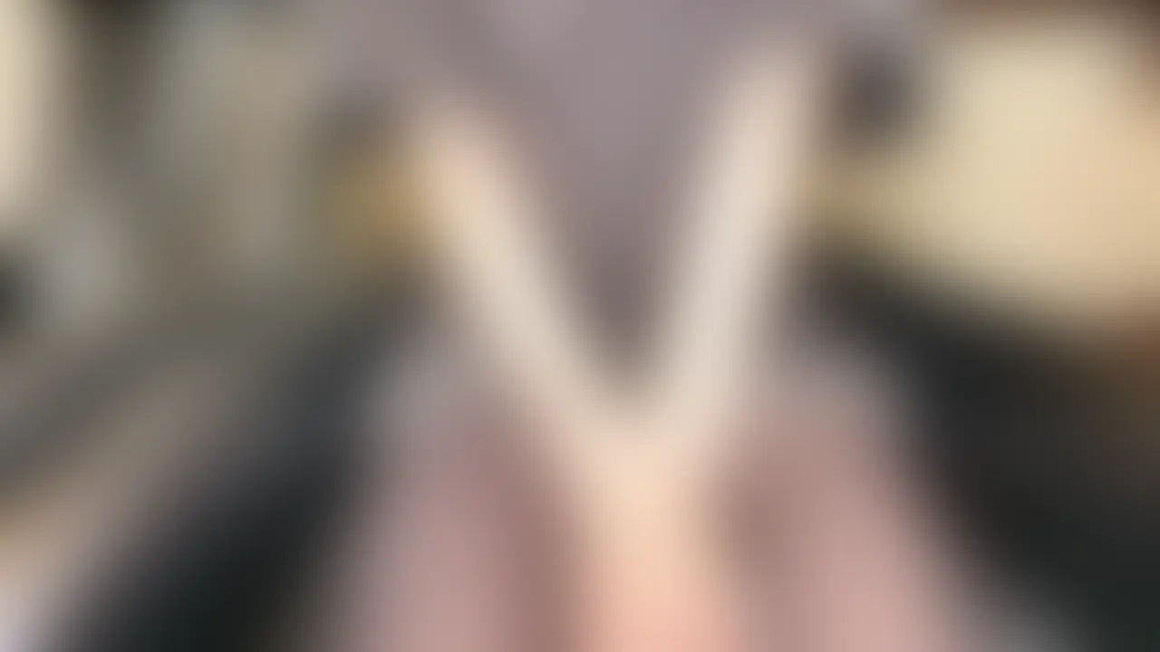 はじめにお伝えしておきます。
息が出来ません
苦しいです
目に潮吹きが入ってすごく痛いです
マン汁が喉の奥に引っかかって中々飲み込めません
それでも見ますか?見れますか?覚悟はありますか?
Mな方向けの動画ではありません。
甘雨ランの重すぎる愛を受け止めてくれる方
限定の動画になっています。
本当に覚悟がある方のみご視聴ください。
【お気に入り登録🌟押してくれたらモチベになります!】
では、沢山のシコシコ報告、射精報告、スタンプ、お気に入り登録待ってるのじゃ💓
※撮影許可をいただいているスタジオでの撮影になります
🐼YouTube🐼
https://www.youtube.com/channel/UC358giibVWMIG5XegnG4ouw
🐼Twitter🐼
https://twitter.com/ran_emoechi
【販売作品について】
ご注文確定後のキャンセル・返品対応はいたしません
予告なく商品を削除される可能性がありますので前もってのDLを推奨しています。
商品に関するメッセージをいただいても返答しかねますのでご了承ください。
二次配布・無断転載・その他個人で聴く目的以外でのご使用はご遠慮ください。
期間限定特典に関しまして、別途商品として販売する可能性がございますのででご了承ください。 (2/2)