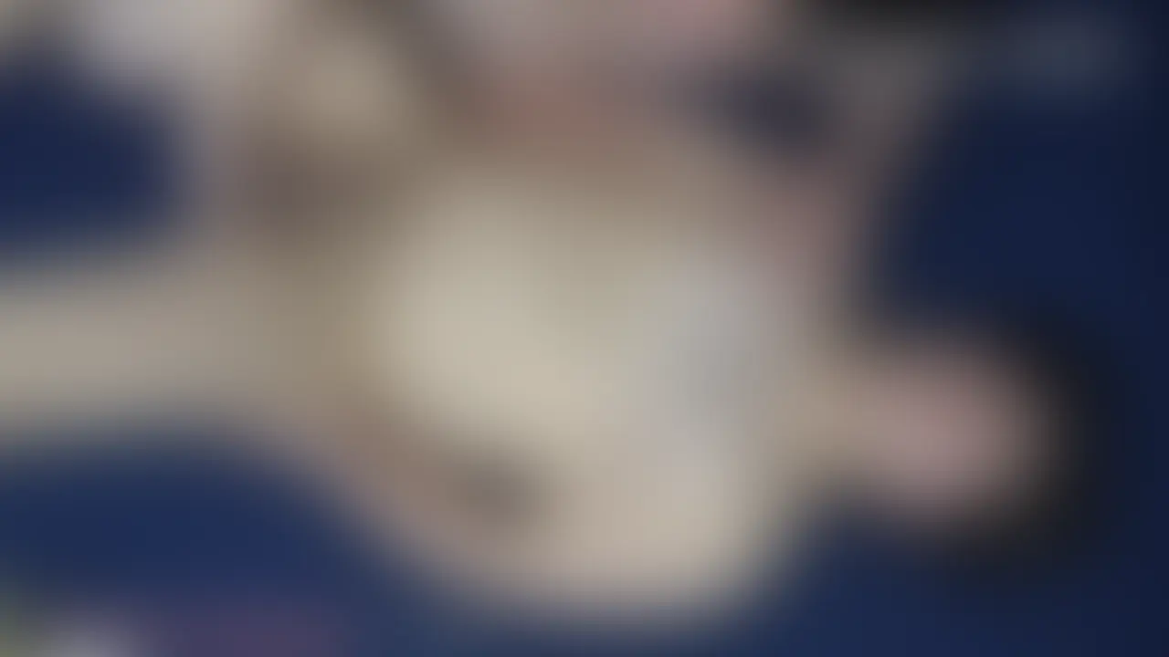 「文系熊：今日は抱かれたい！」 sample 1