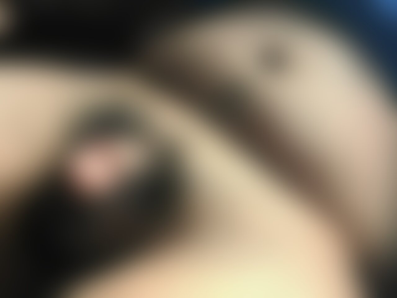 昼下がりの雄熊チンポ🐻 sample 1