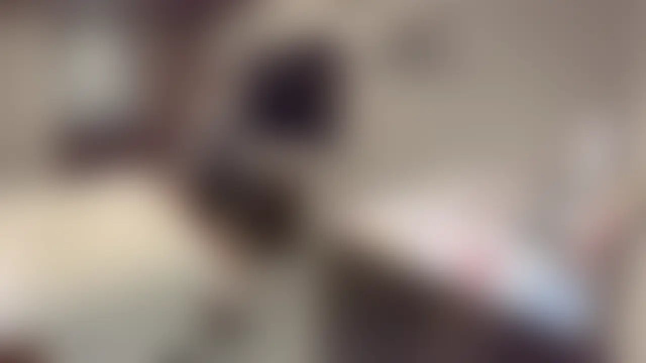 【変態夫婦｜ホテルに入るとこうなる　#34】
お゛ぉ…お゛ぉ…♡いぐ…いぐぅ…♡😳
この声ちょっとやばくない…？💦
この感じ、好きな人絶対いるでしょ🤭

この声、音ありで聞いてほしい…😳💕
お゛ぉ…お゛ぉ…ってなってるの普通にリアルすぎるやつ😵‍💫💘

サンプルでちょっと見せすぎたかもだけど、これにないところが一番やばいの😈
堕ち方がガチだから💧
※マスクなしフェラはプラン限定公開です🙇‍♀️ (2/2)