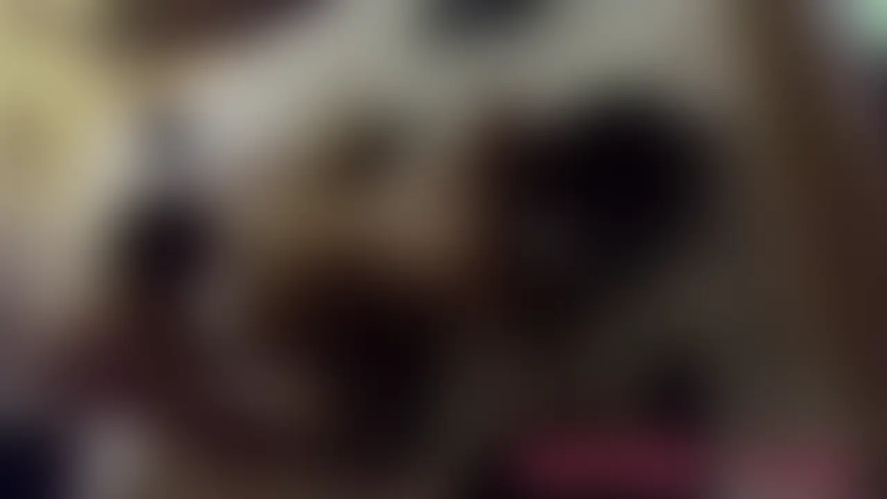 腹筋バキバキのエロスジ筋と禁断のSEX① sample 1