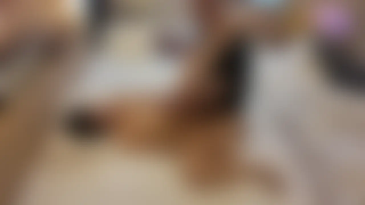 【顔出し版】人生初!他人棒中出し!!【パート④】 人生初の他人棒による中出し!HIMEのあそこからどろっと、濃厚な精子が出てくる様子がたまりません😭 単独さんとイチャラブして、中出しされて嬉しそうなHIME💦
※こちらはHIMEの完全顔出しです (2/2)