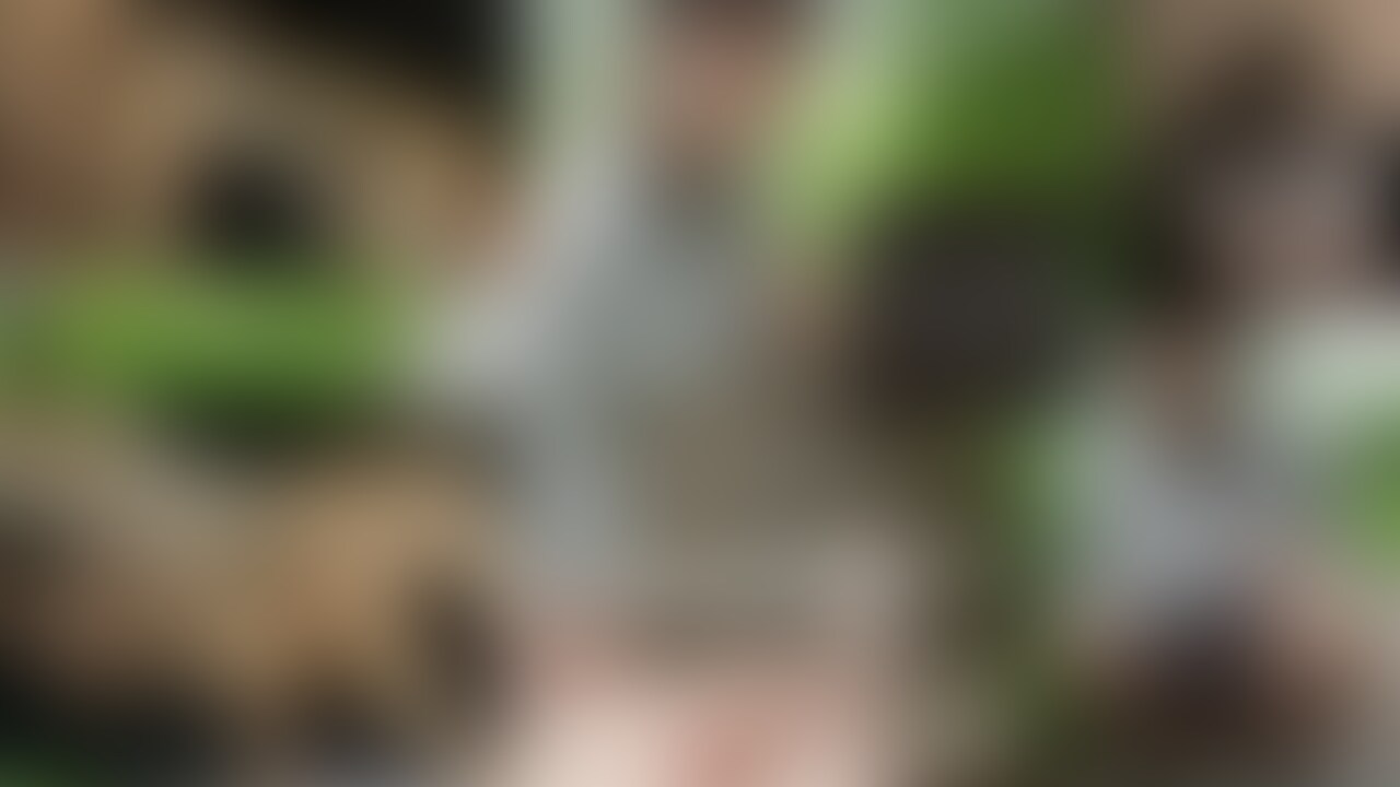 松島さんと初めて行った乱交パーティーで出会った、元気な人妻さんエロピクニックに誘ったらノリノリでオッケーしてくれました!誘うの緊張したな((笑)当日はキ00いるようなはしゃぎっぷりに、こちらが引いてしまうほど!店員にもちろん注意受けましたよ!おっぱいが大きくてとても綺麗です。ずっと見ていました!!! (2/2)