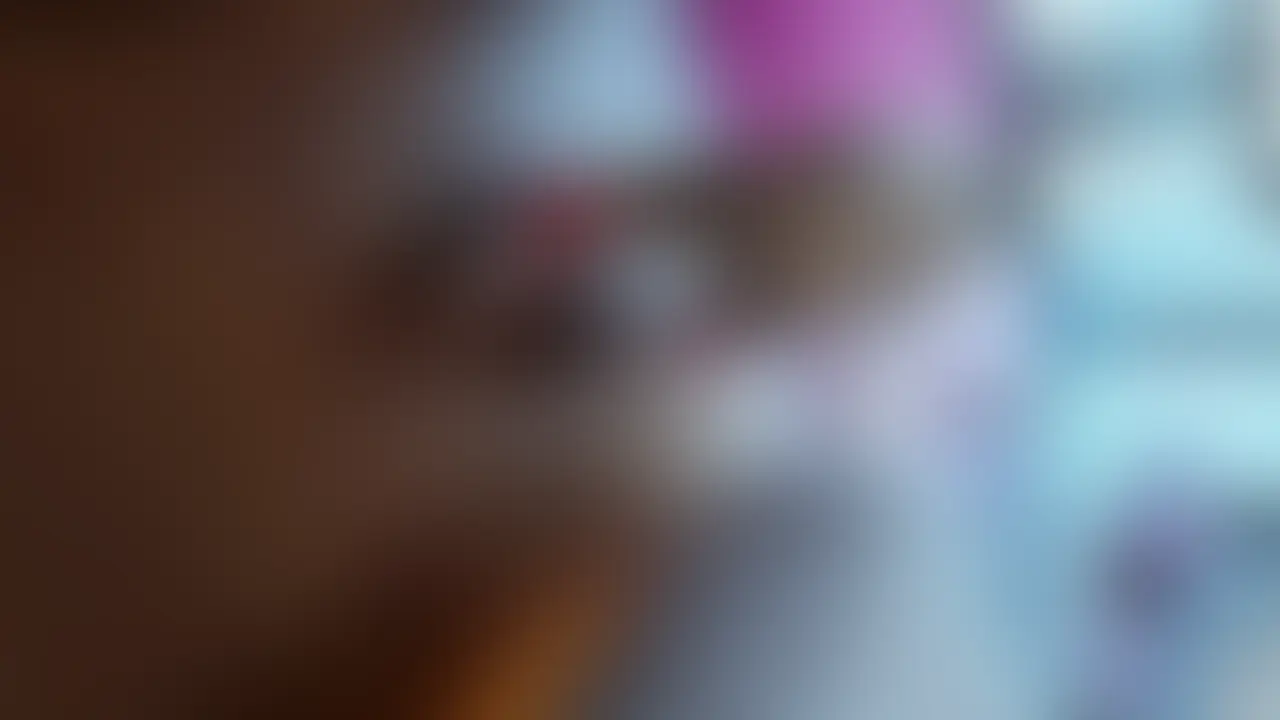 野球犬になった、ご主人様に飼われて幸せです sample 1