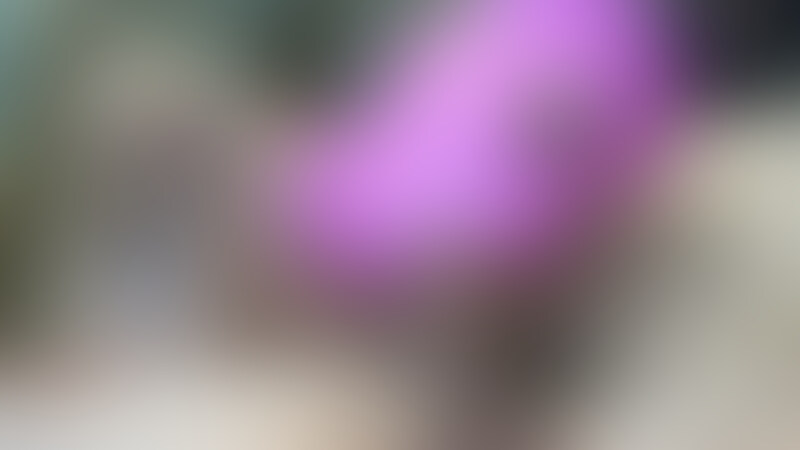 Zちゃん完全に発情!!② (2/2)