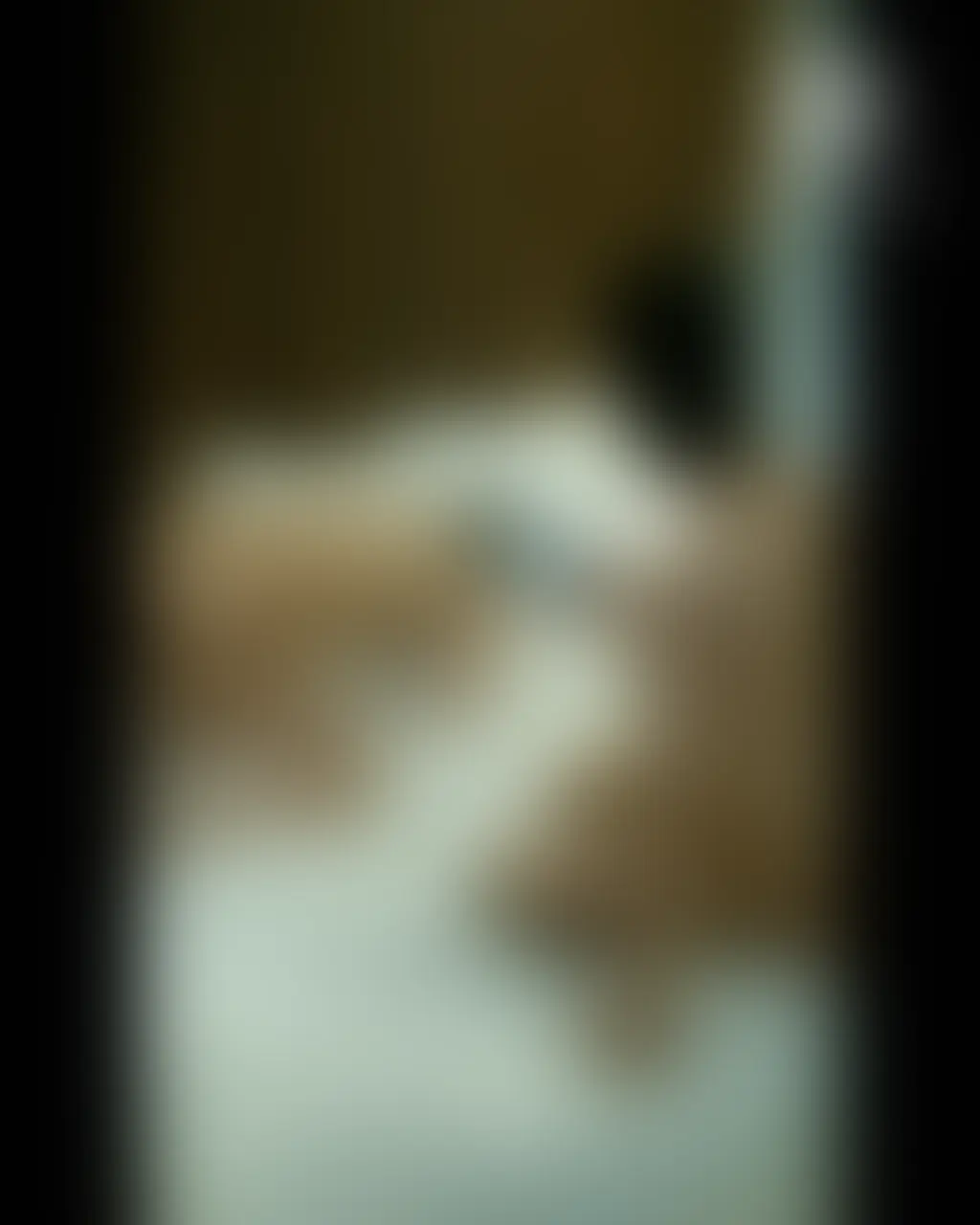 【単品購入希望】動画約11分 sample 1
