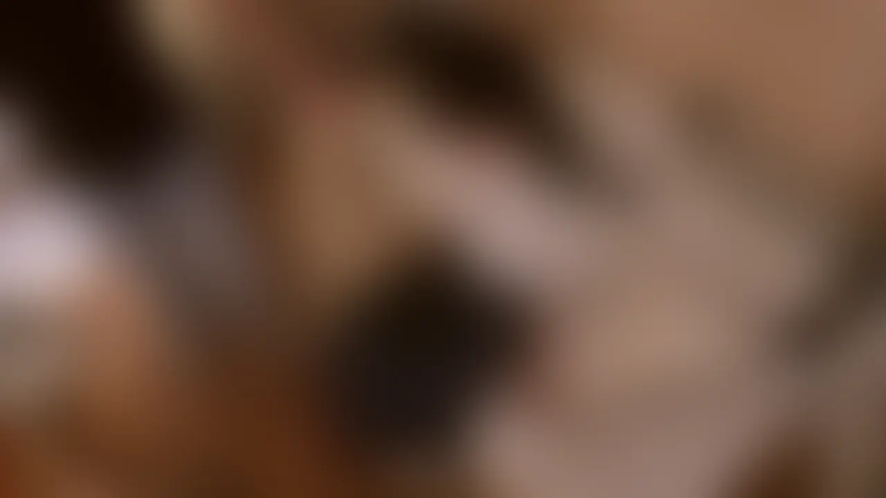 【俺の家第4弾！40歳にして圧巻の美しさ！見た目も仕草もエロすぎる俺得人妻
完璧Fカップをめちゃくちゃに汚して性欲開放！！】(0:24:54)

■お名前
Yさん

■年齢
40歳

■結婚歴
2年

■家族構成
夫・本人(専業主婦)

■夫への不満(旦那とセックスレス、生活もワンパターン)
・一緒にいるのに気持ちの距離を感じる。
・毎日が同じで、ときめきがなくなった。
・大事にされてる実感がうすれてきた。
・このまま続くと考えると刺激がなく退屈、不安。

■俺様のレポート
…大好評の俺の家第4弾！
40歳でFカップボディ持て余してる人妻をい俺の家に読んじゃいましたw
俺のチ●ポにヨガってる姿、是非みてください(爆) (2/2)