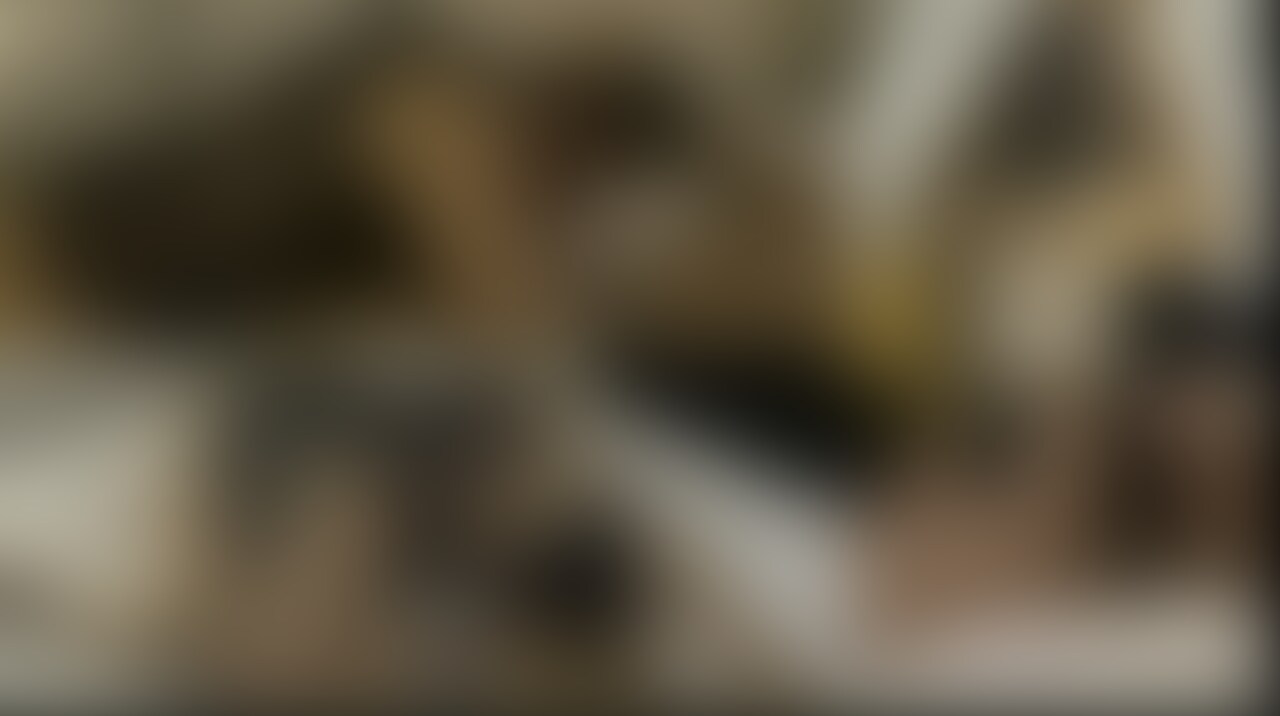 慣れているやつには容赦なく玩具のように sample 1