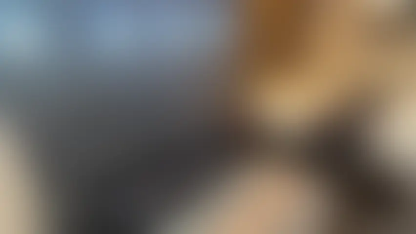 Special Edition vol.3  KOBAN 〜グラドル編 〜」
 
 みみちゃん演じる女スパイが沖縄へ逃亡するし、所持する謎のデータ【KOBAN】を追いかけてやってきた謎の組織に。何故か小判はグラドルみみちゃんの手に渡ってしまい、出張先のホテルを特定されあれやこれやと展開される一作。

天候の都合でもう一日の延泊となったみみちゃん。カメラが仕掛けられてるとも知らず、急遽入ったホテルには謎の組織の息がかかっていた....

不眠症のサプリをのんでいつものように眠っていたみみちゃんのお部屋に侵入したスパイエージェントの手によってパニックのまま、あれよあれよと...
 
 ストーリー性とグラビア映像作品の精度を高めるべく、内容にこだわった長編作の誕生から1週間、大好評だった盗●シリーズも60分以上の過去最高長尺をこだわりの作品内容でお届けします。
 
 今後もこの「謎のKOBANシリーズ」が続く！？
（気分次第）
 
台本のない電話での即興芝居にもご注目ください。 (2/2)