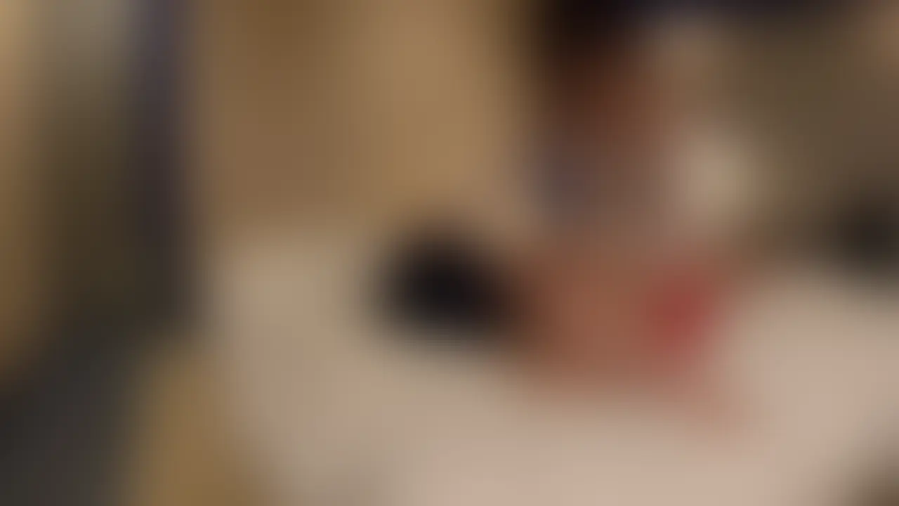 冒頭15秒以降顔出しとなります!
プラン用です! (2/2)