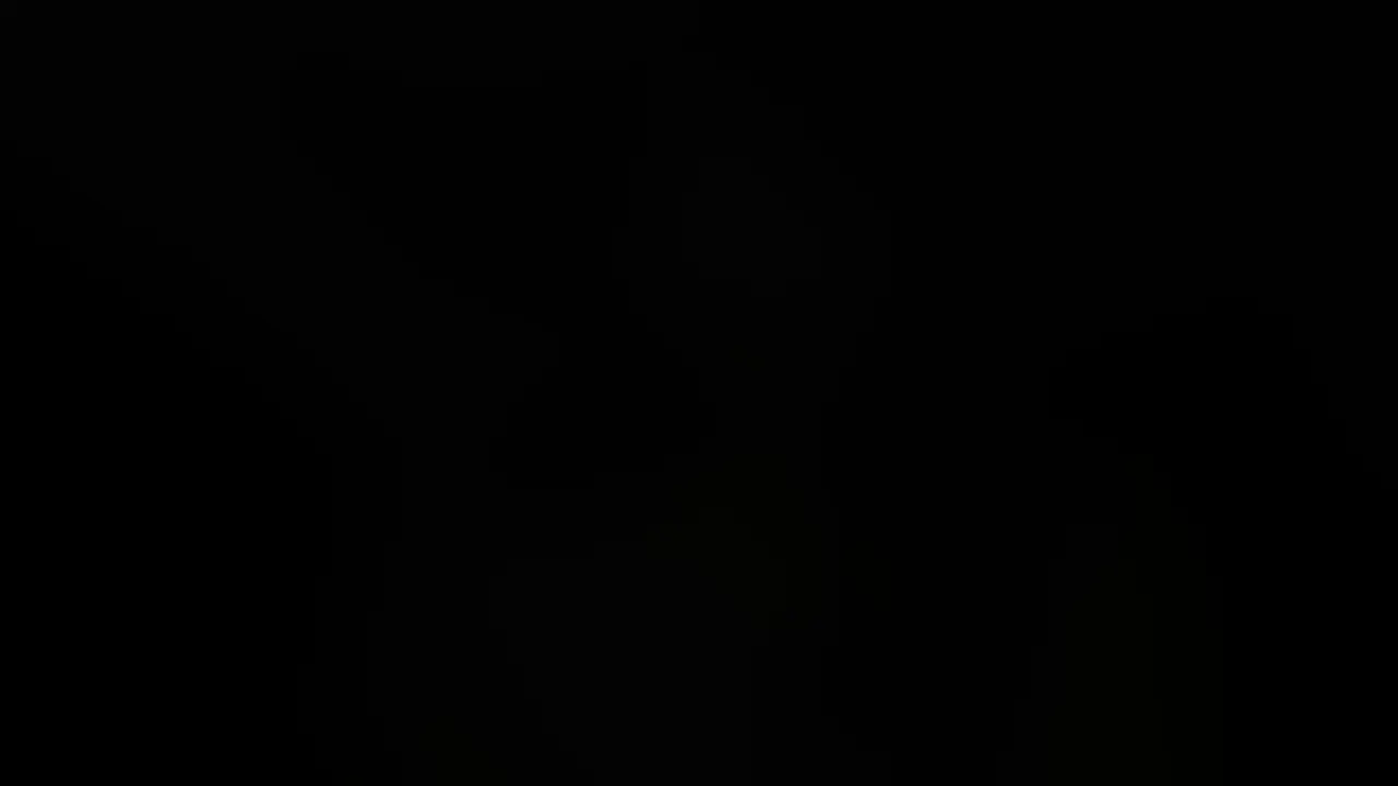 カショ爺の日常 動画 (2/2)