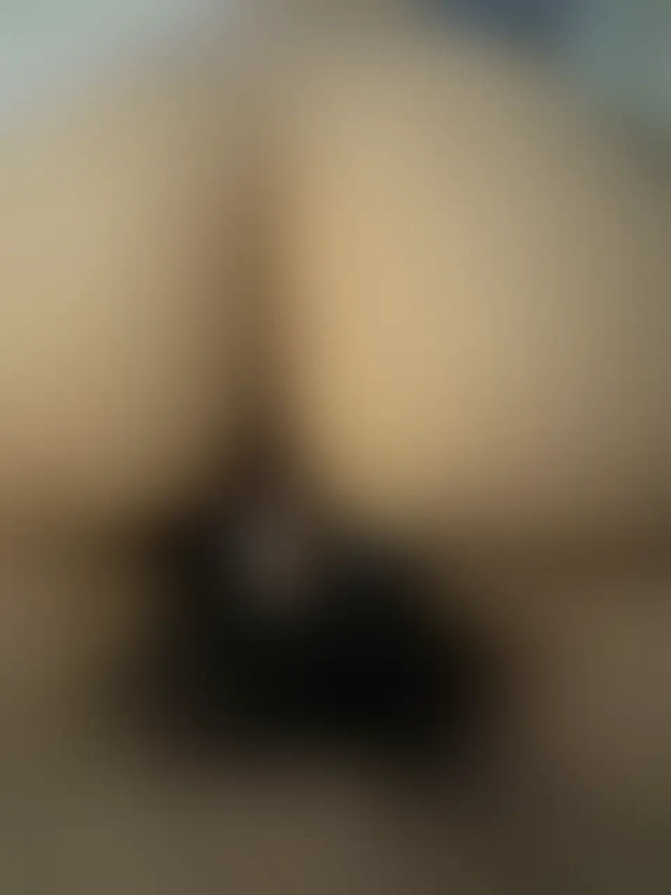 🐳深海のみで閲覧可能です🐳

完全主観✨✨
土迫力で丸見えなのが本当にエロいのよ
なりきりたい人には必見です。
短いですが堪能してみてください (2/2)